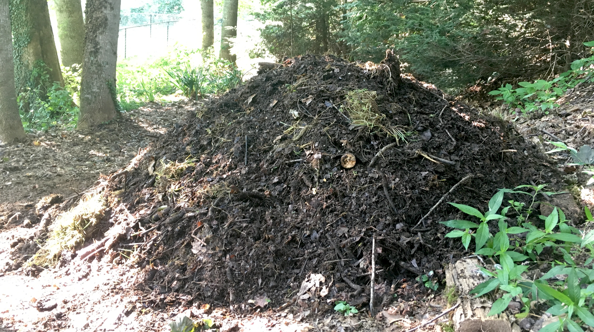 The Joys of Composting, or Start a Damn Compost Pile!