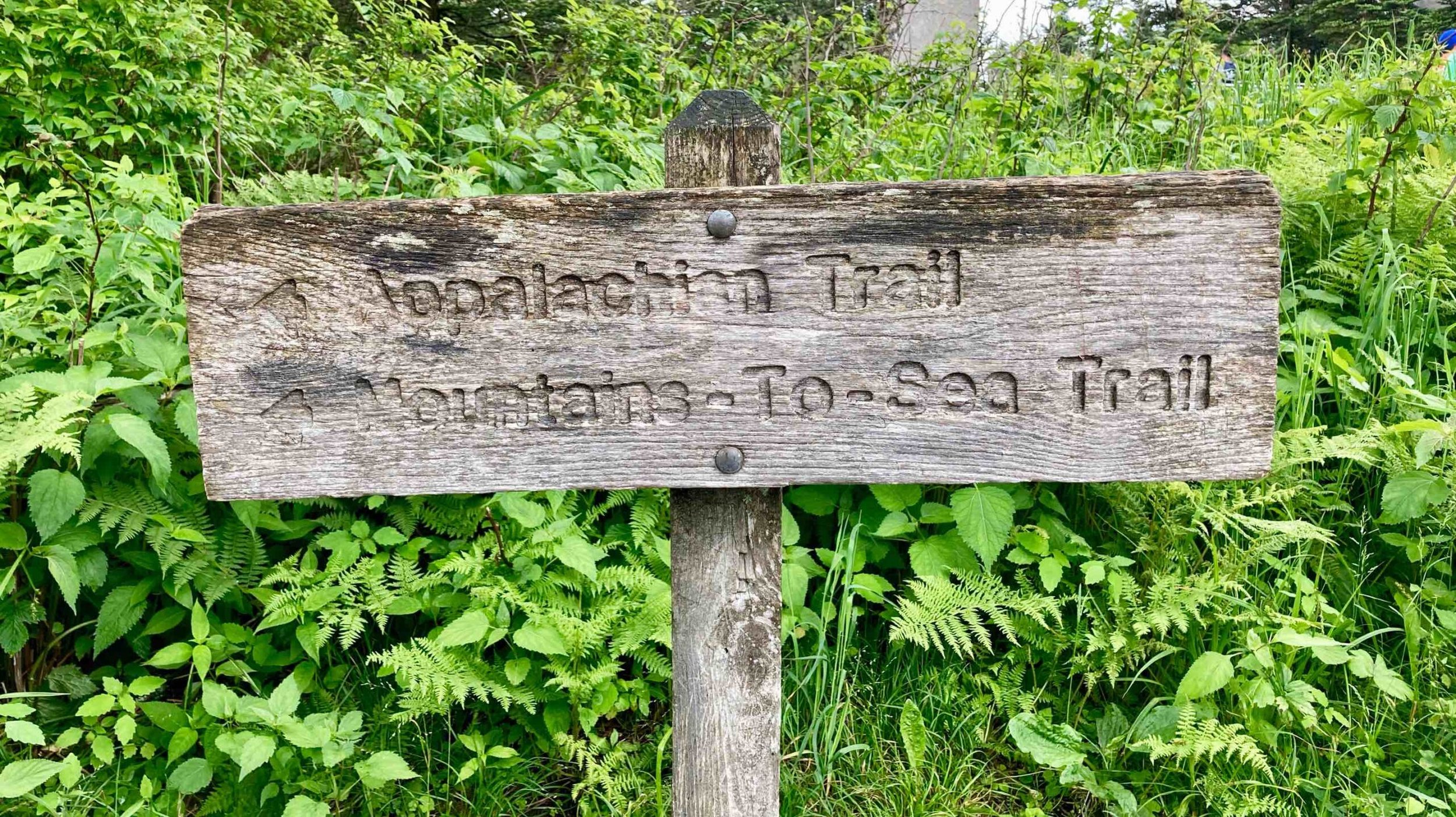 Announcement: Mountains-to-Sea Trail Attempt