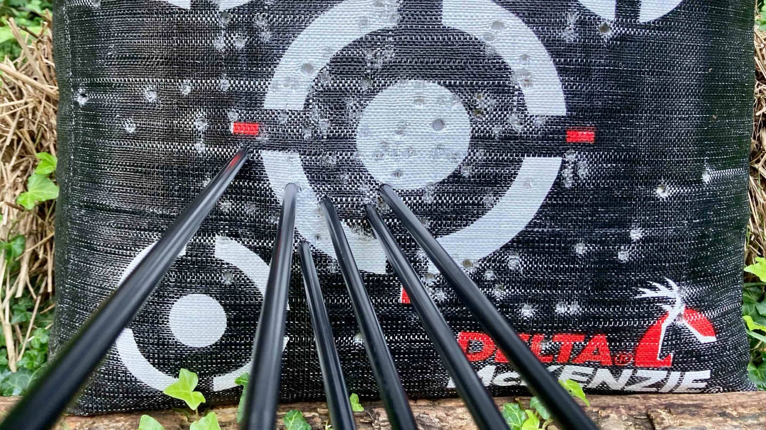 2021 Goal Progress - August