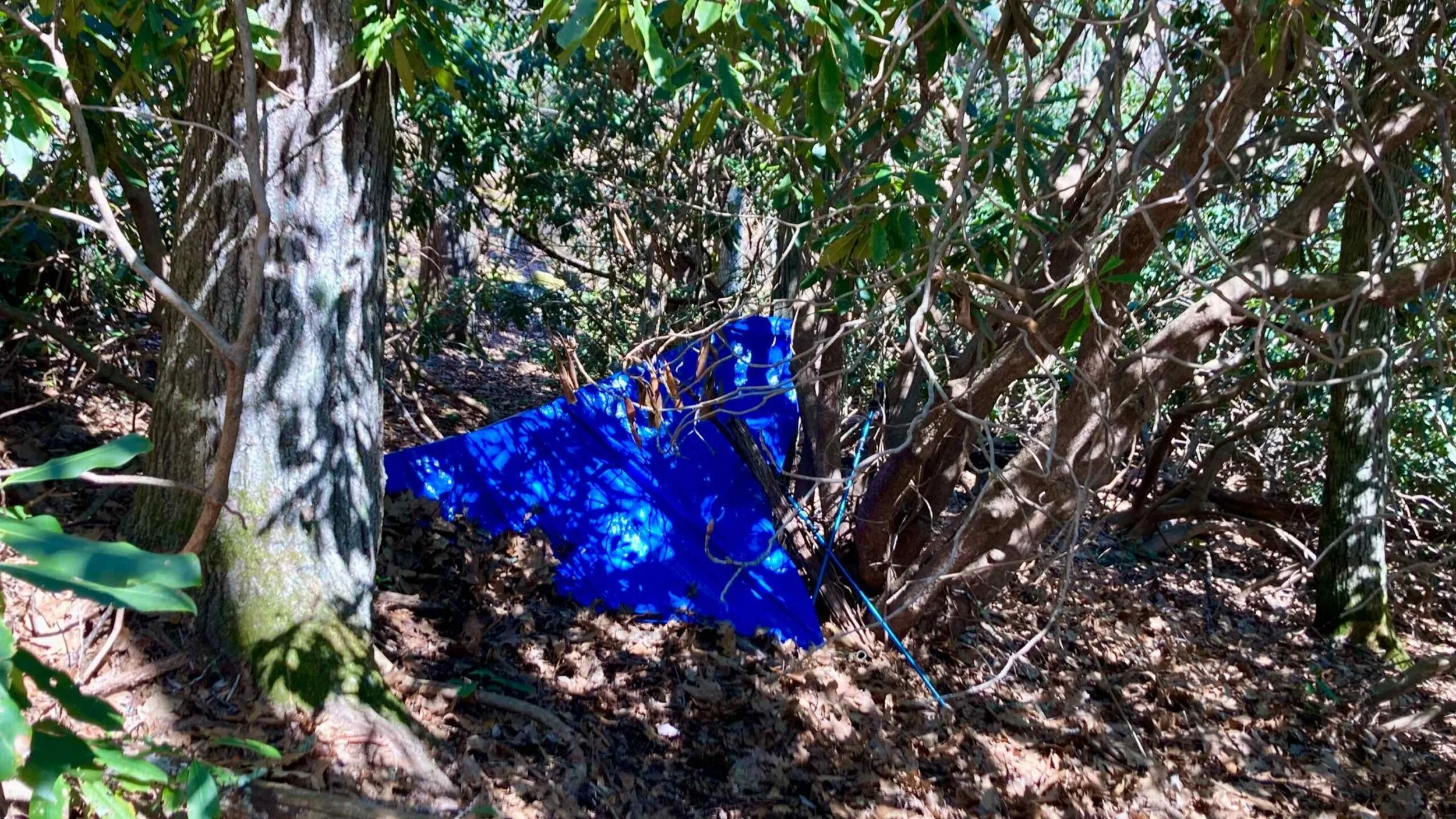 Basics of Wilderness Survival Shelter Building