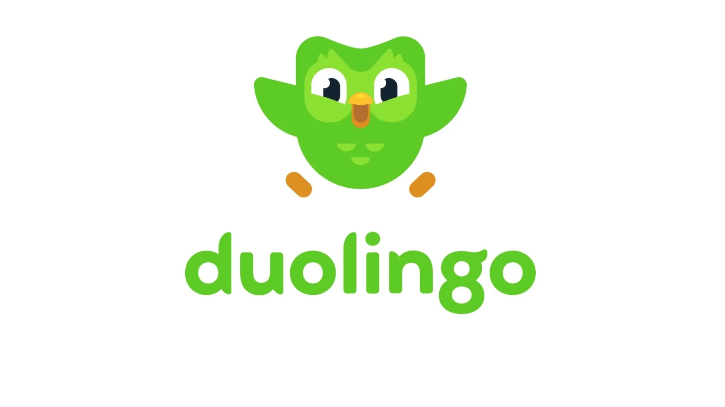 An In-Depth DuoLingo Review