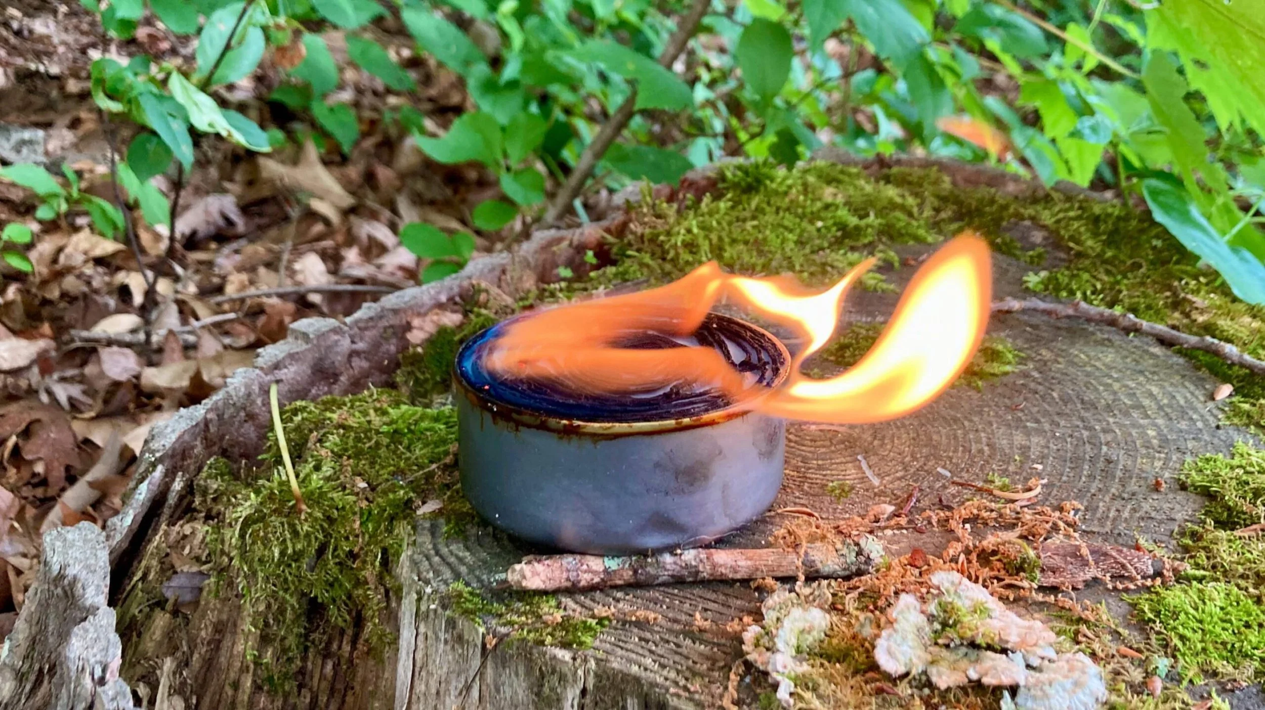 Survival Cooking: The Tuna Can Stove