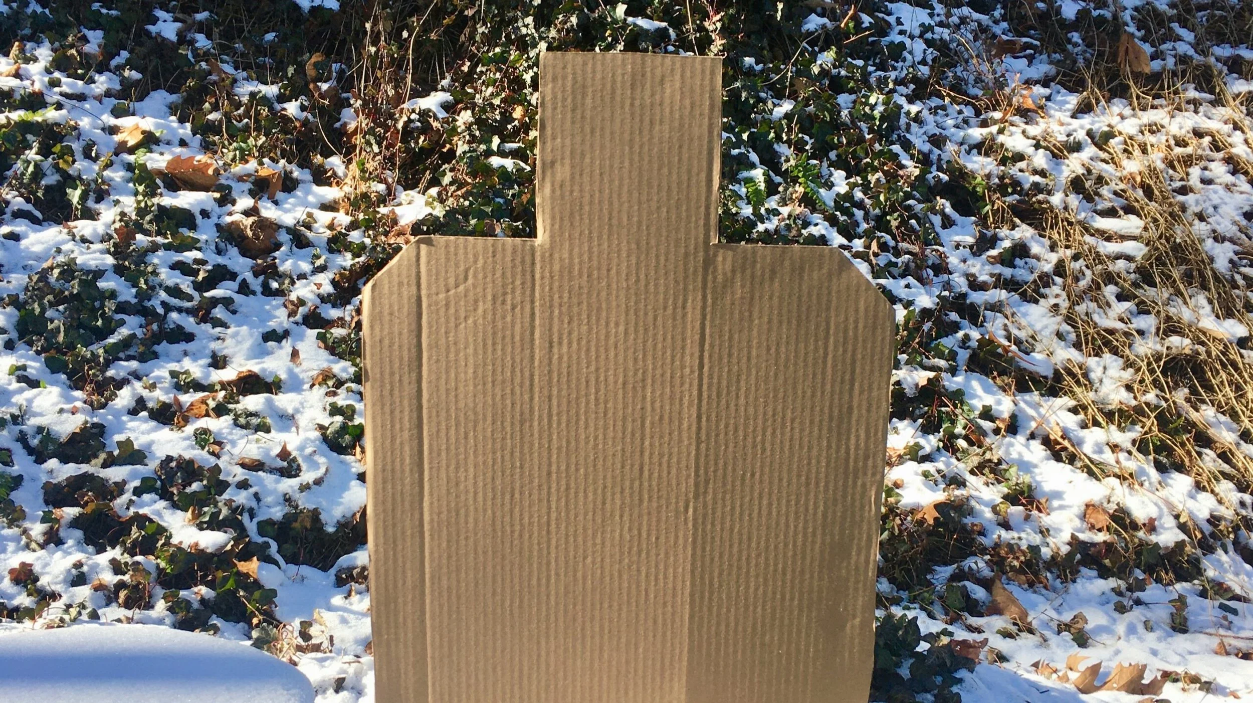 2020 Dry Practice Report 2: 16 - 31 January