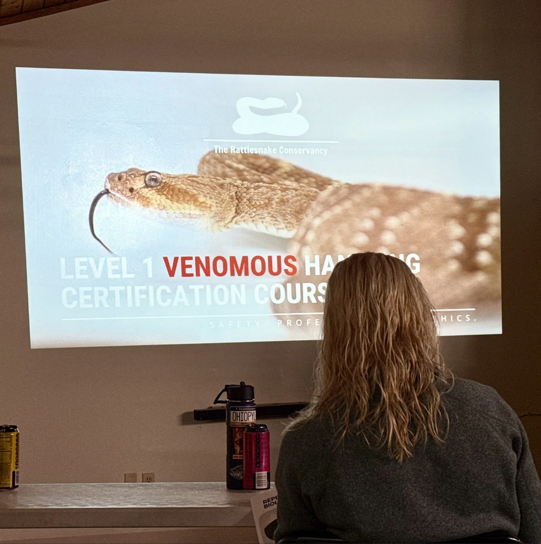 AAR: Level 1 Venomous Snake Handling Course — Swift | Silent | Deadly