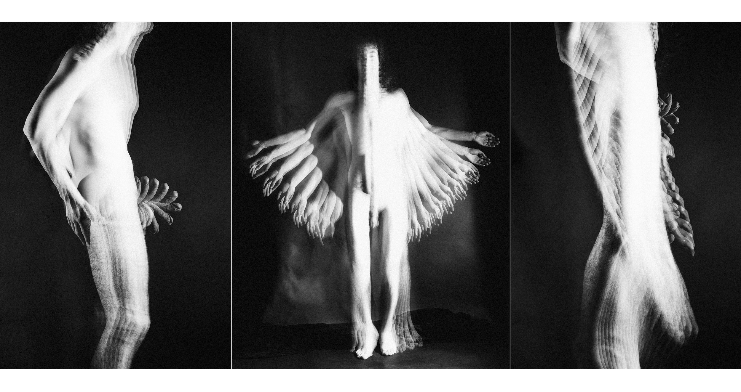 17-9_full tryptych_bajkovaurelvalentin_motions_greg__ww_2024_03_10.png