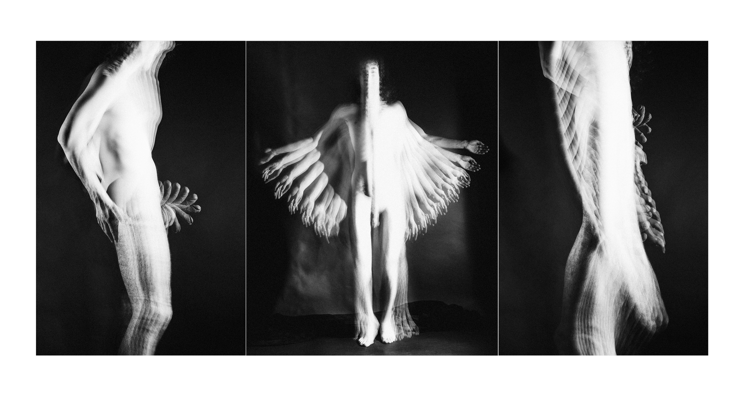 17-9_full tryptych_bajkovaurelvalentin_motions_greg__ww_2024_03_10.png
