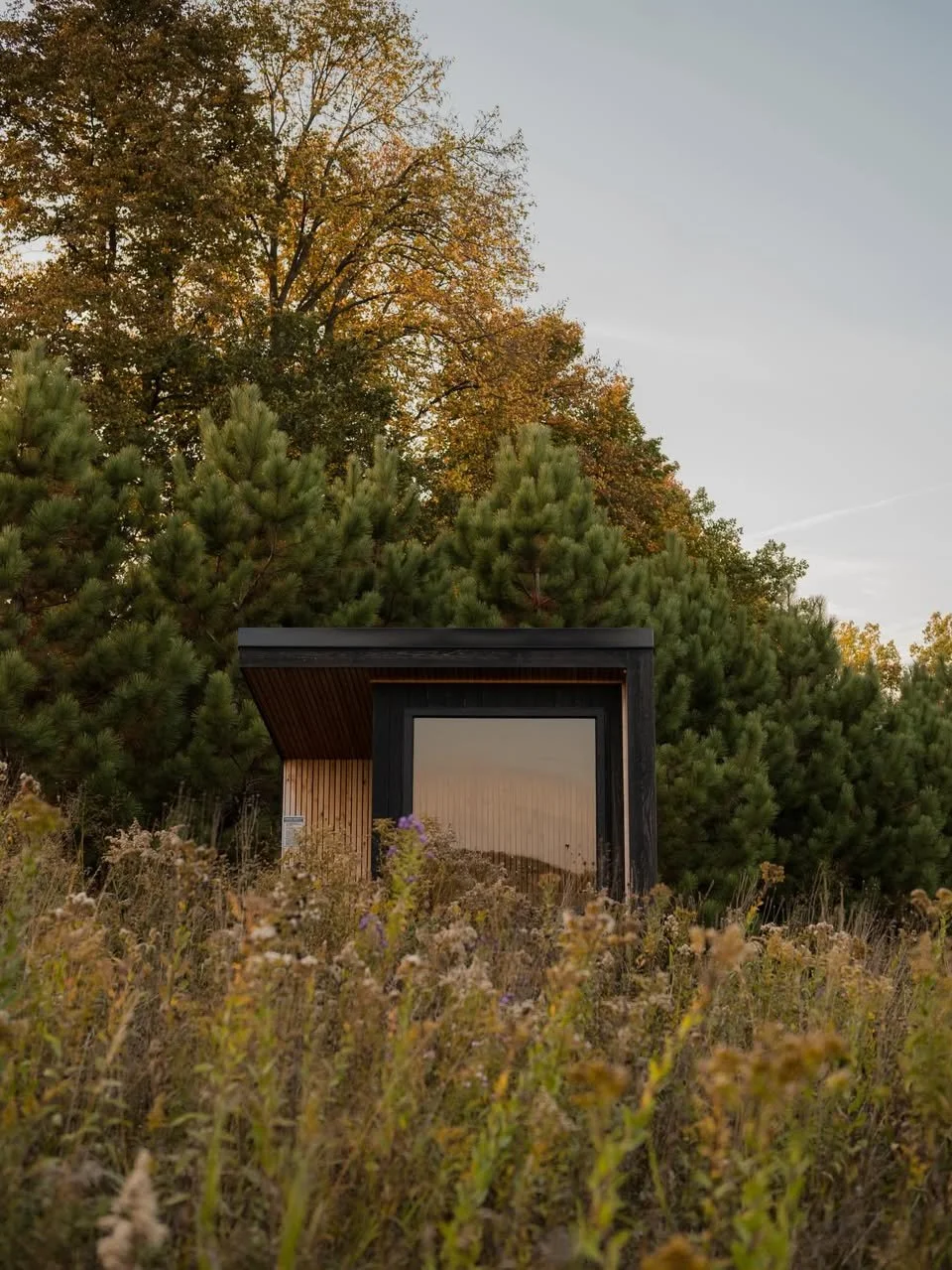 FOR OUR NEED TO BE NATURE