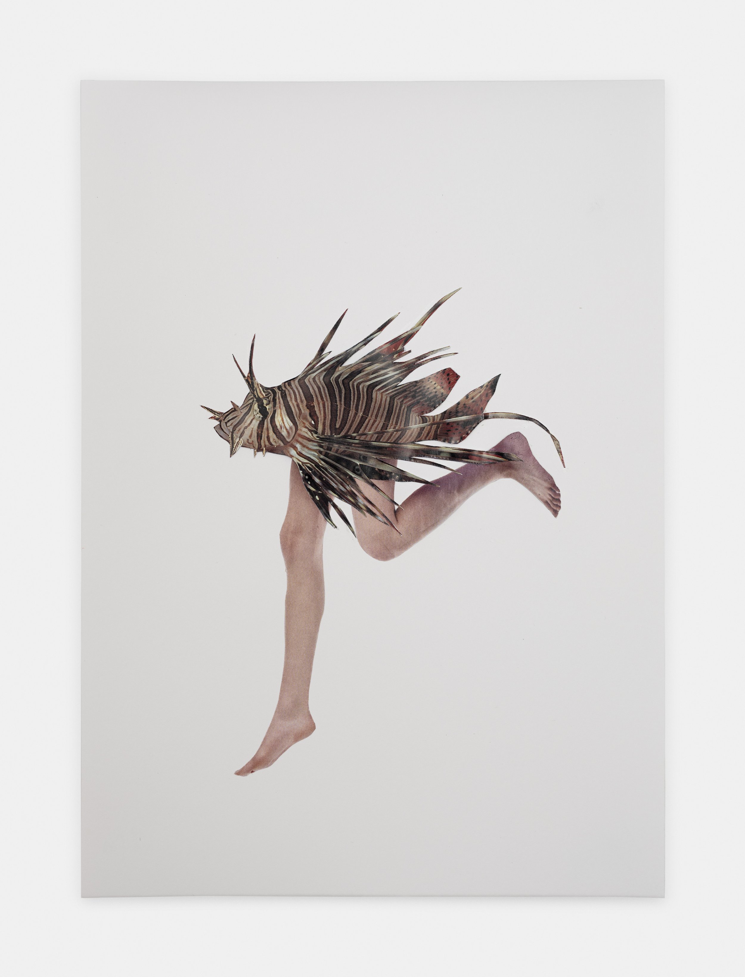 Of Flesh and Fin,
2026
Collage on paper
29.5 x 21 cm (11 5/8
x 8 1/4 in)