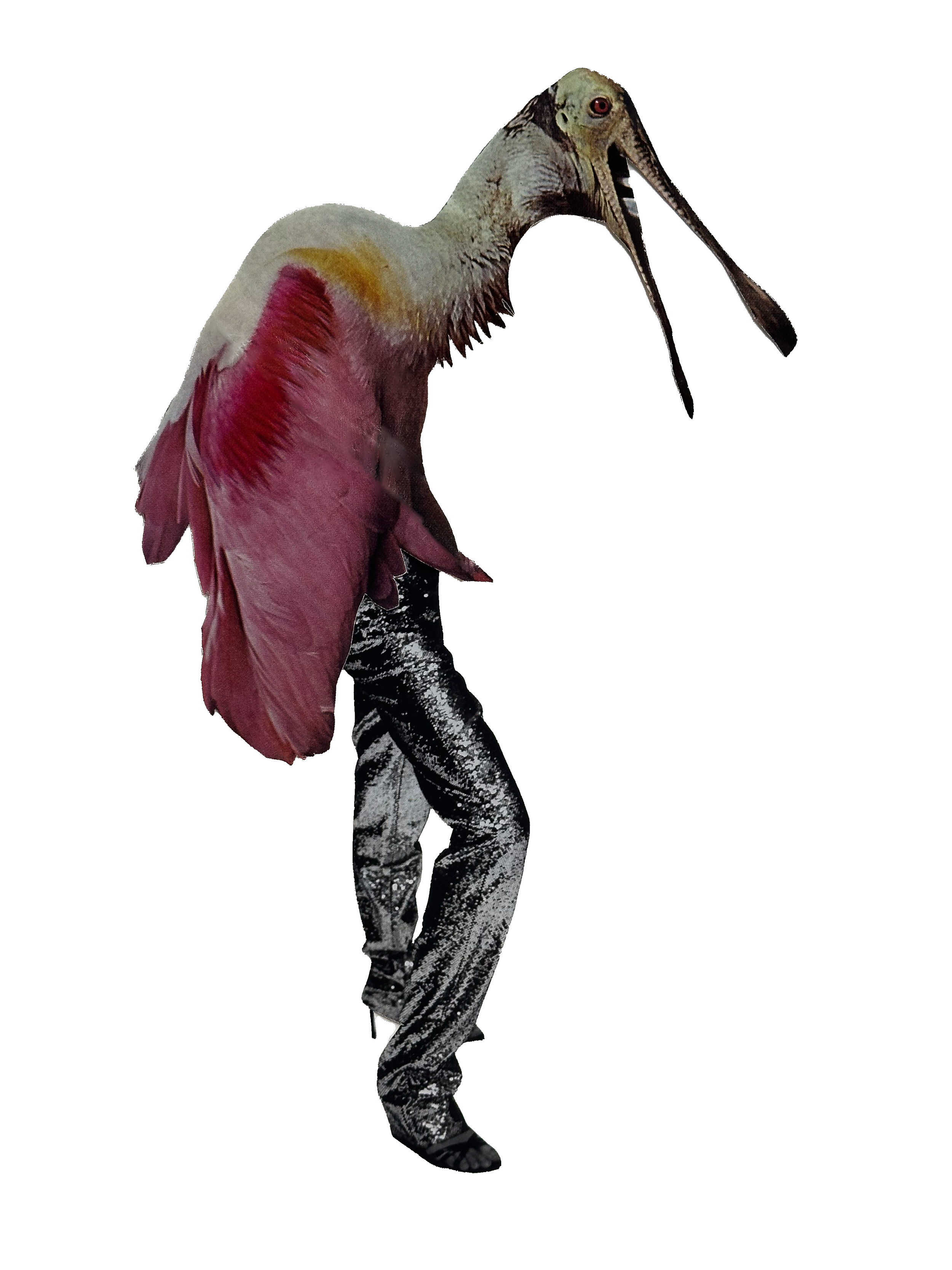 D0AF82BE-AE68-40CC-802D-78B255CCBDB7 3.PNG