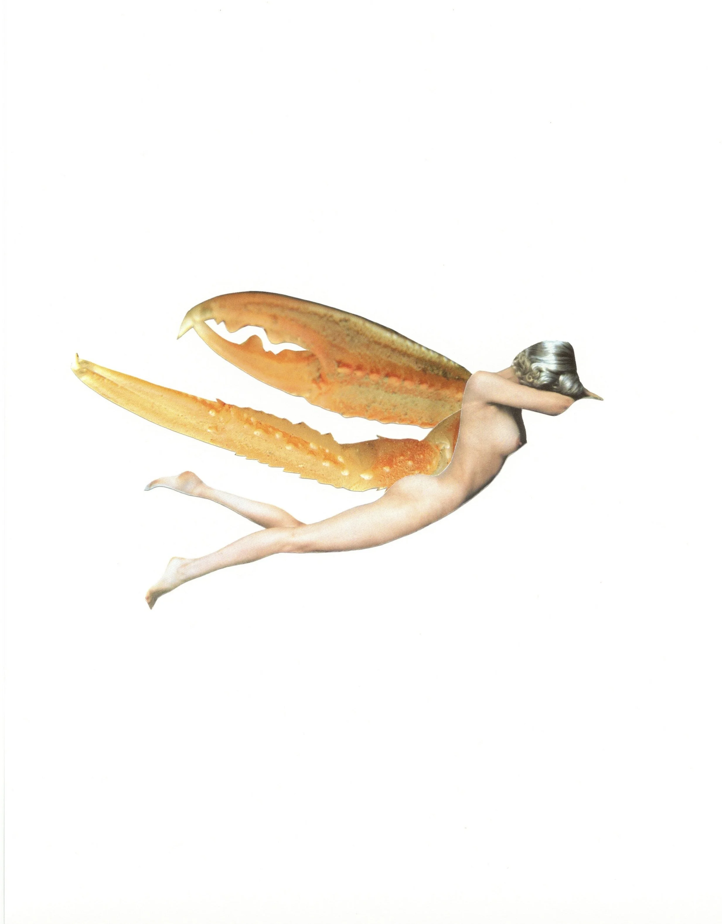 Winged Pincer,
2026
Collage on paper
29.5 x 21 cm (11 5/8
x 8 1/4 in)