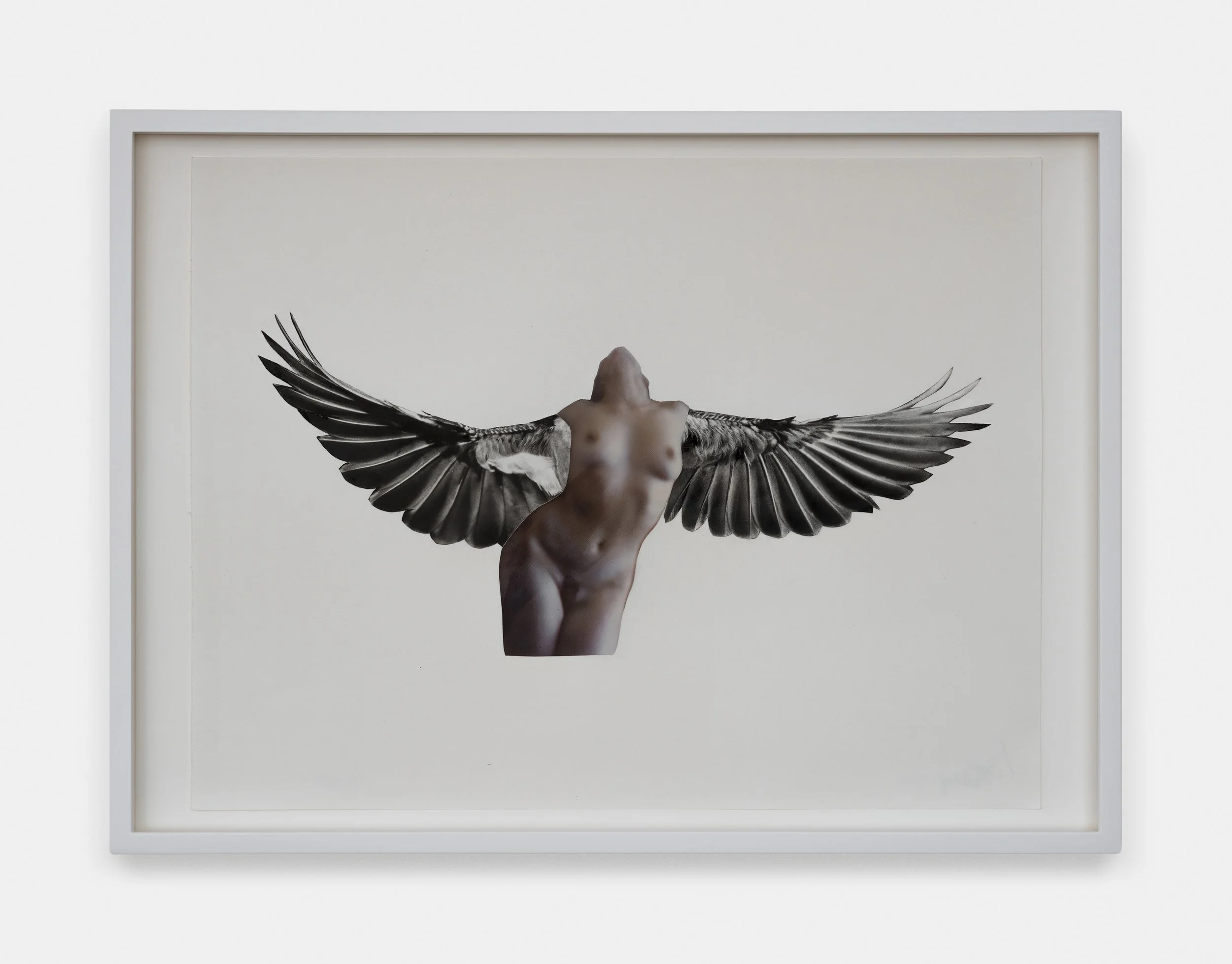 Harpies, 2026
Collage on paper
Framed: 33.5 x 46
cm 
