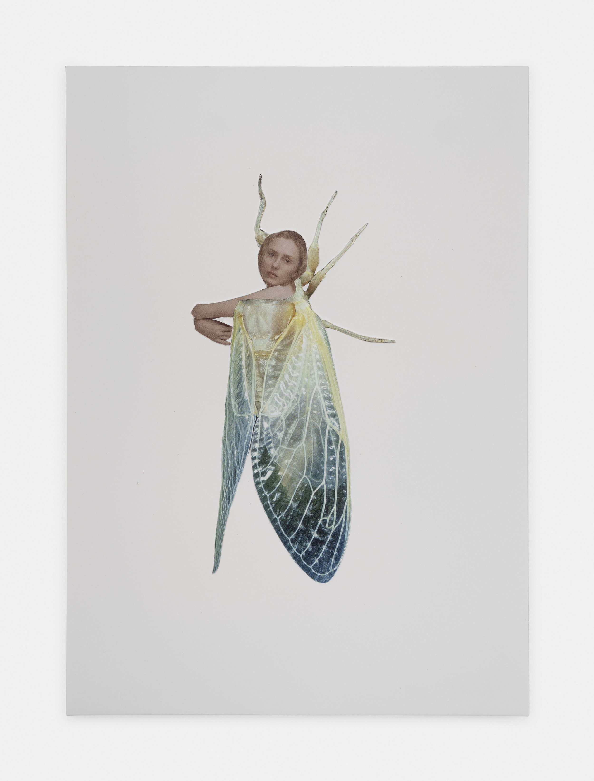 Nymph, 2026
Collage on paper
29.5 x 21 cm (11 5/8
x 8 1/4 in)