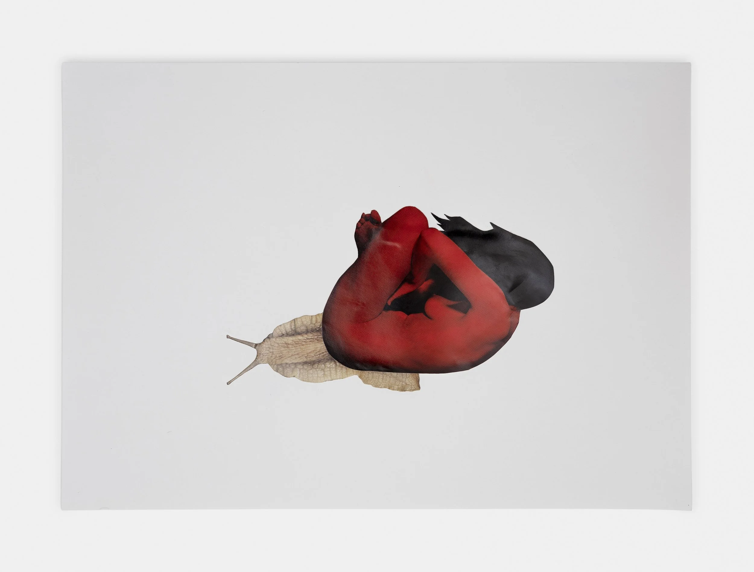 Outer Skin, 2026
Collage on paper
29.5 x 41.5 cm (11
5/8 x 16 3/8 in)