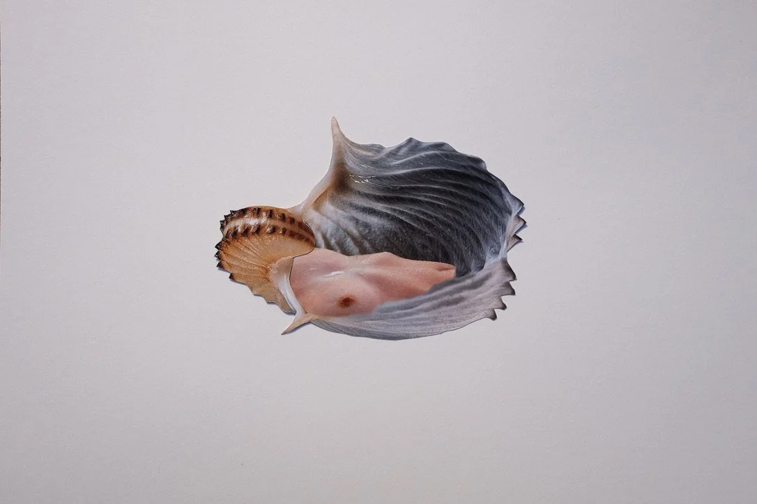 1A7CEBAE-B14D-4DB9-B441-8E61C487449B_1_105_c.jpeg