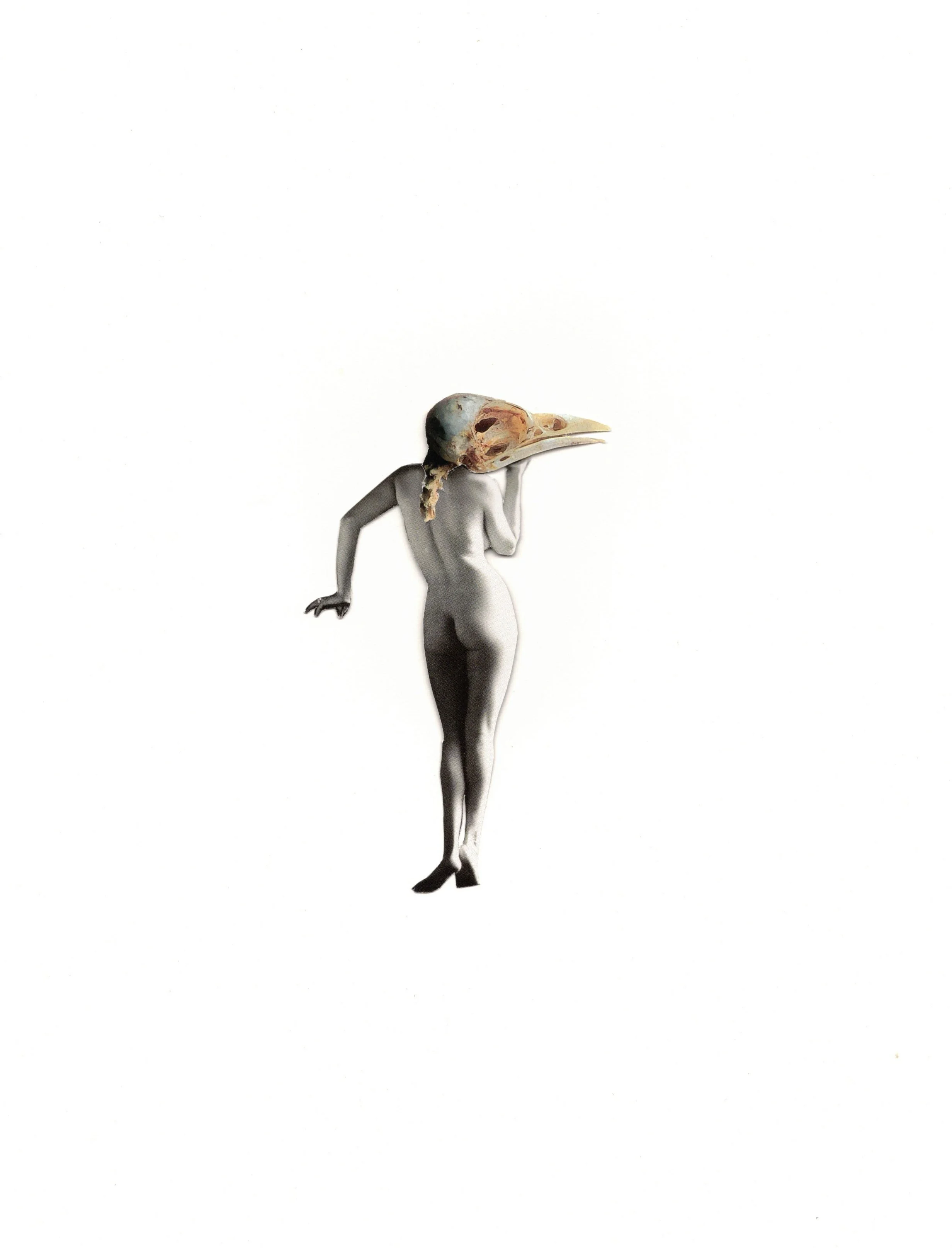Cranium Form,
2026
Collage on paper
29.5 x 21 cm (11 5/8
x 8 1/4 in)