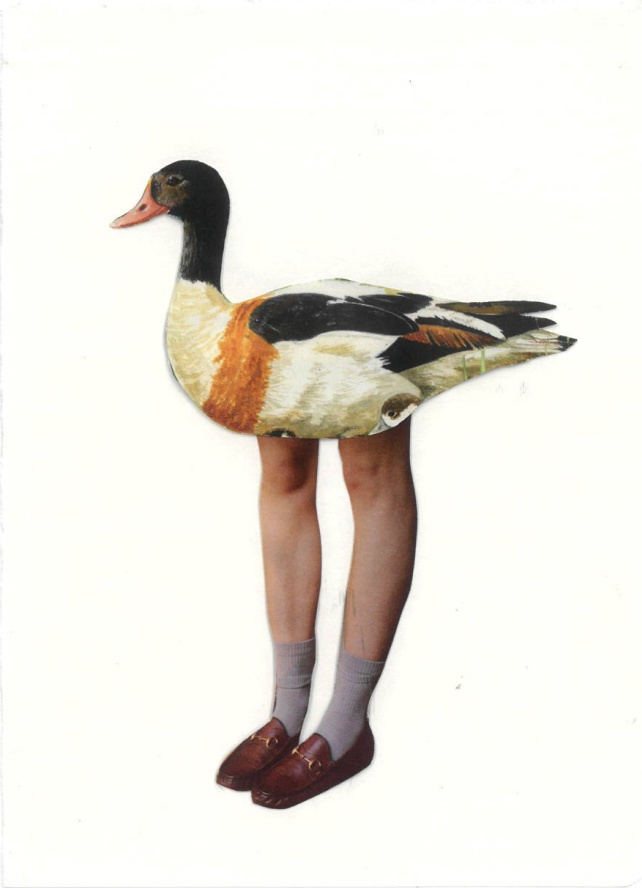 67A34604-553F-4597-AF7C-F2AE0D2F1CEE.png