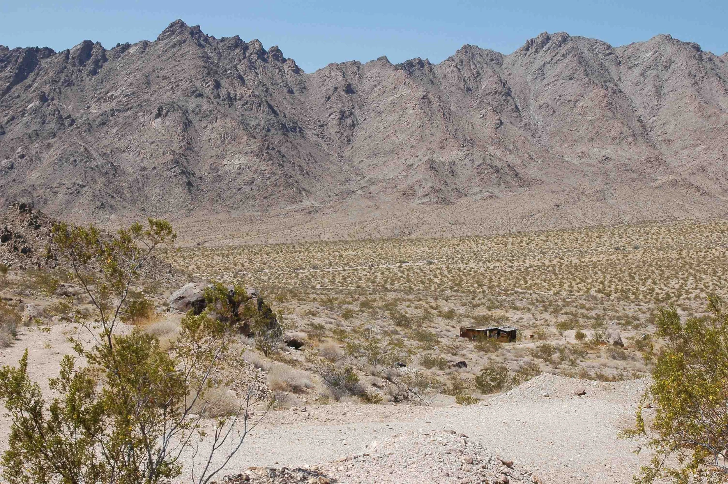 A barren desert landscape with sparse shrubbery and small bushes, surrounded by rugged brown mountains in the background under a clear blue sky.