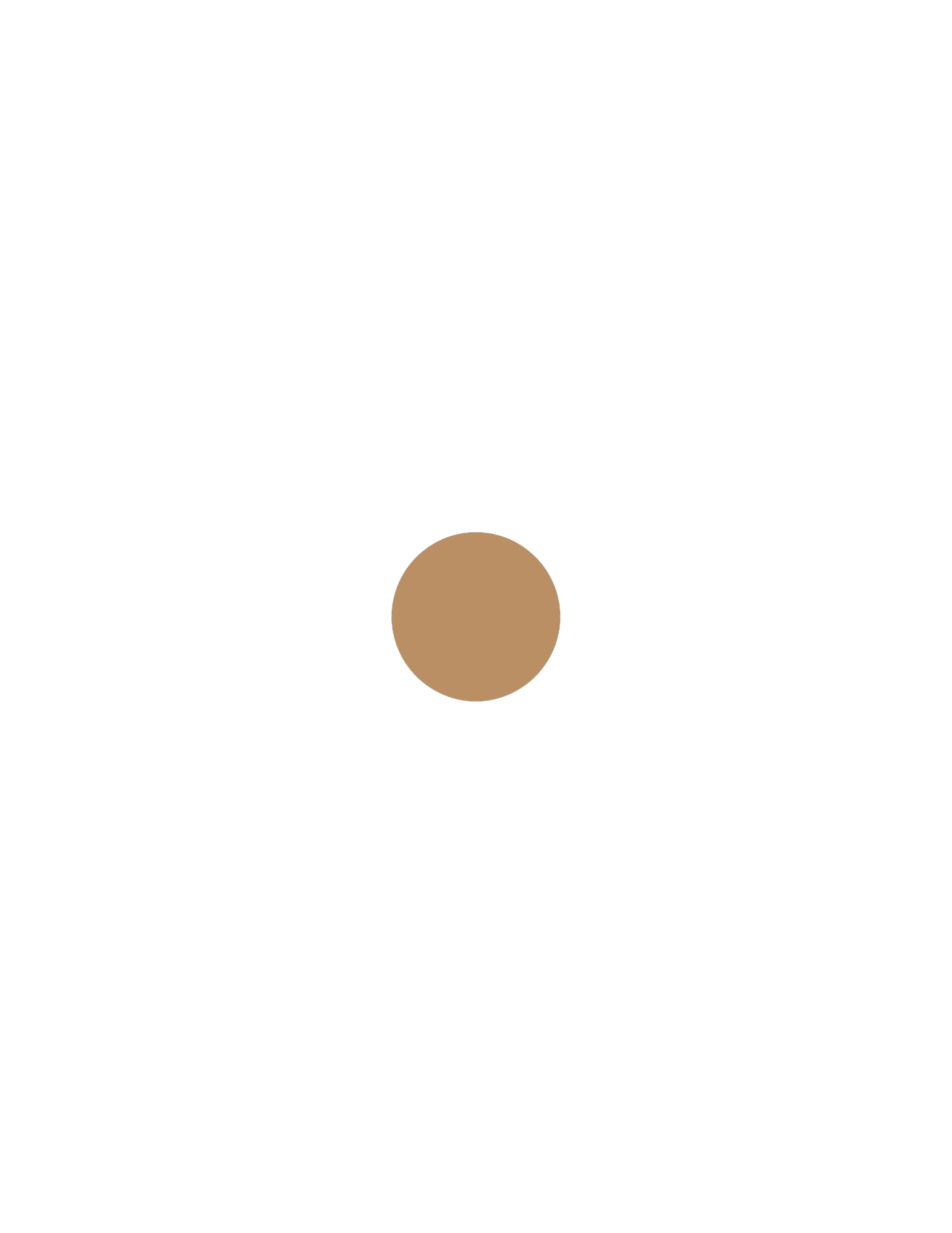 Cosmetics Visuals (10).png