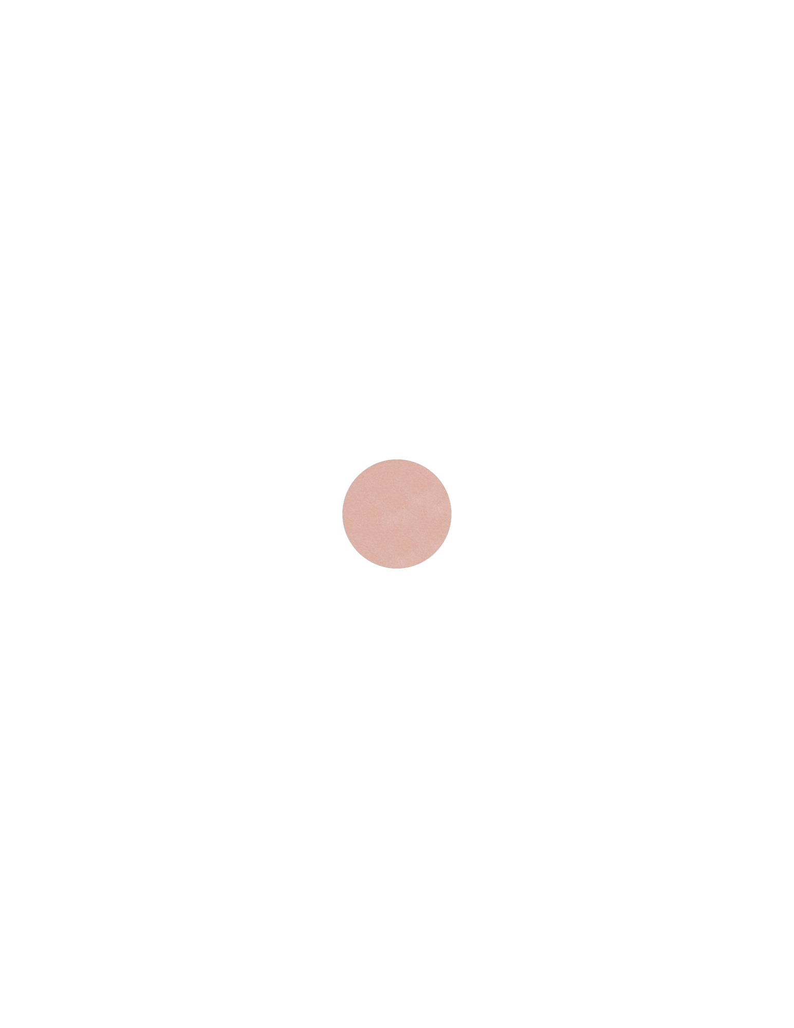 Cosmetics Visuals (69).png