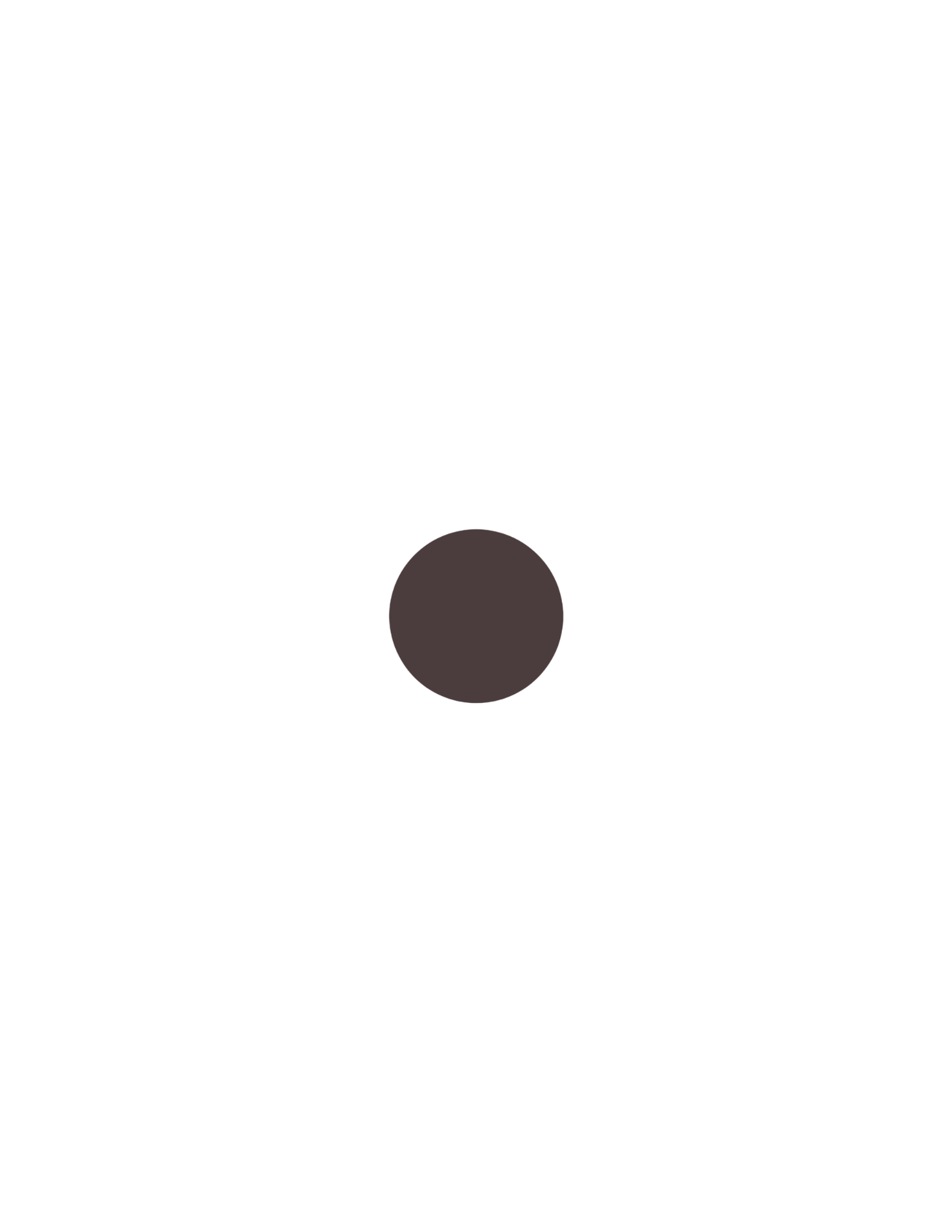 Cosmetics Visuals (13).png