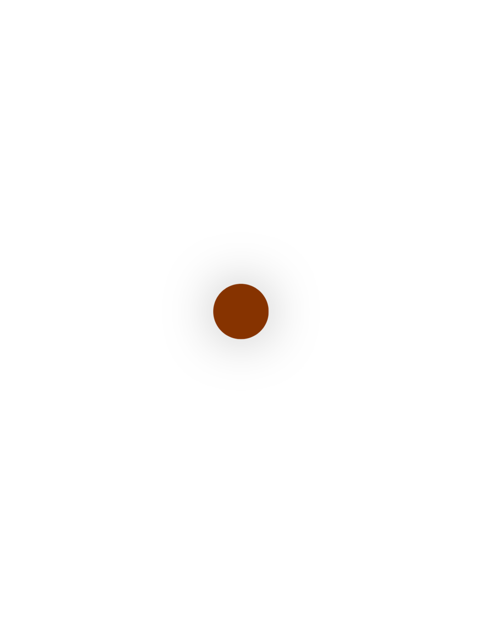 Cosmetics Visuals (23).png