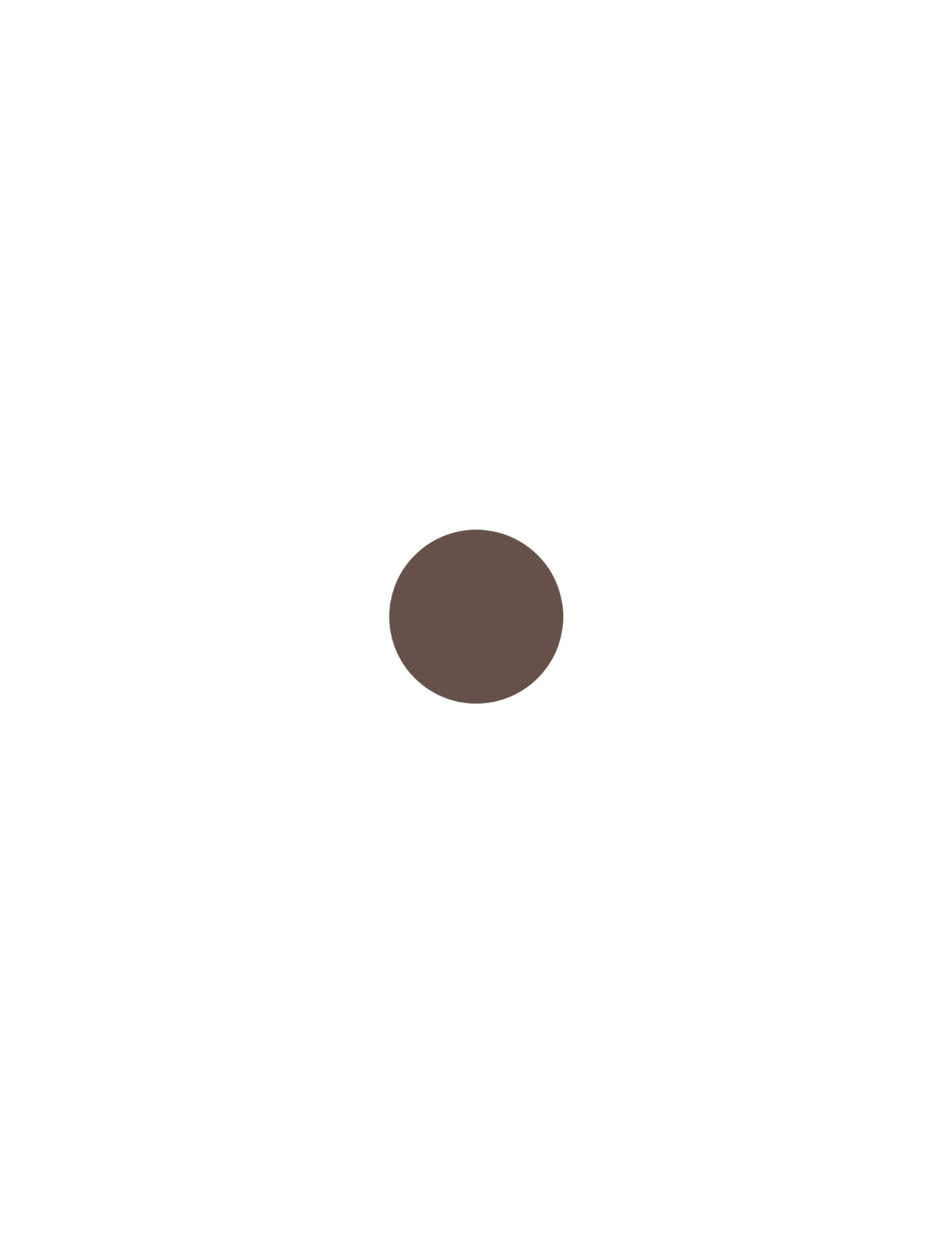 Cosmetics Visuals (12).png