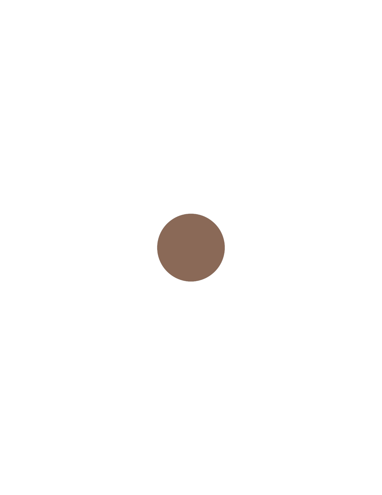 Cosmetics Visuals (11).png