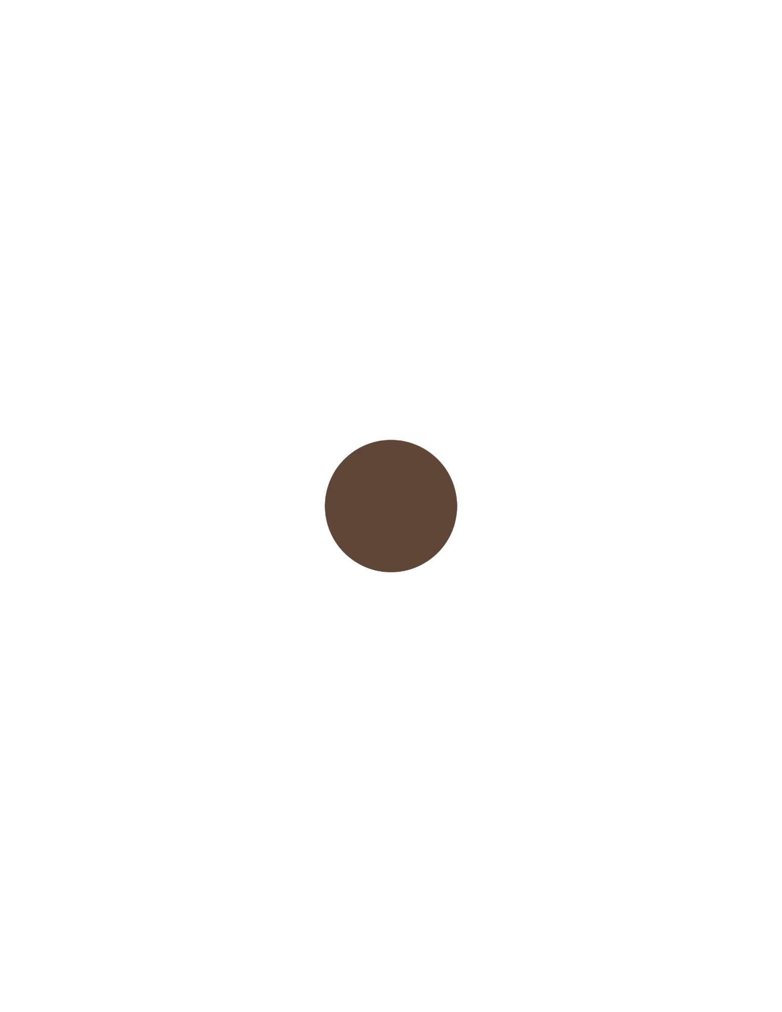 Cosmetics Visuals (6).png