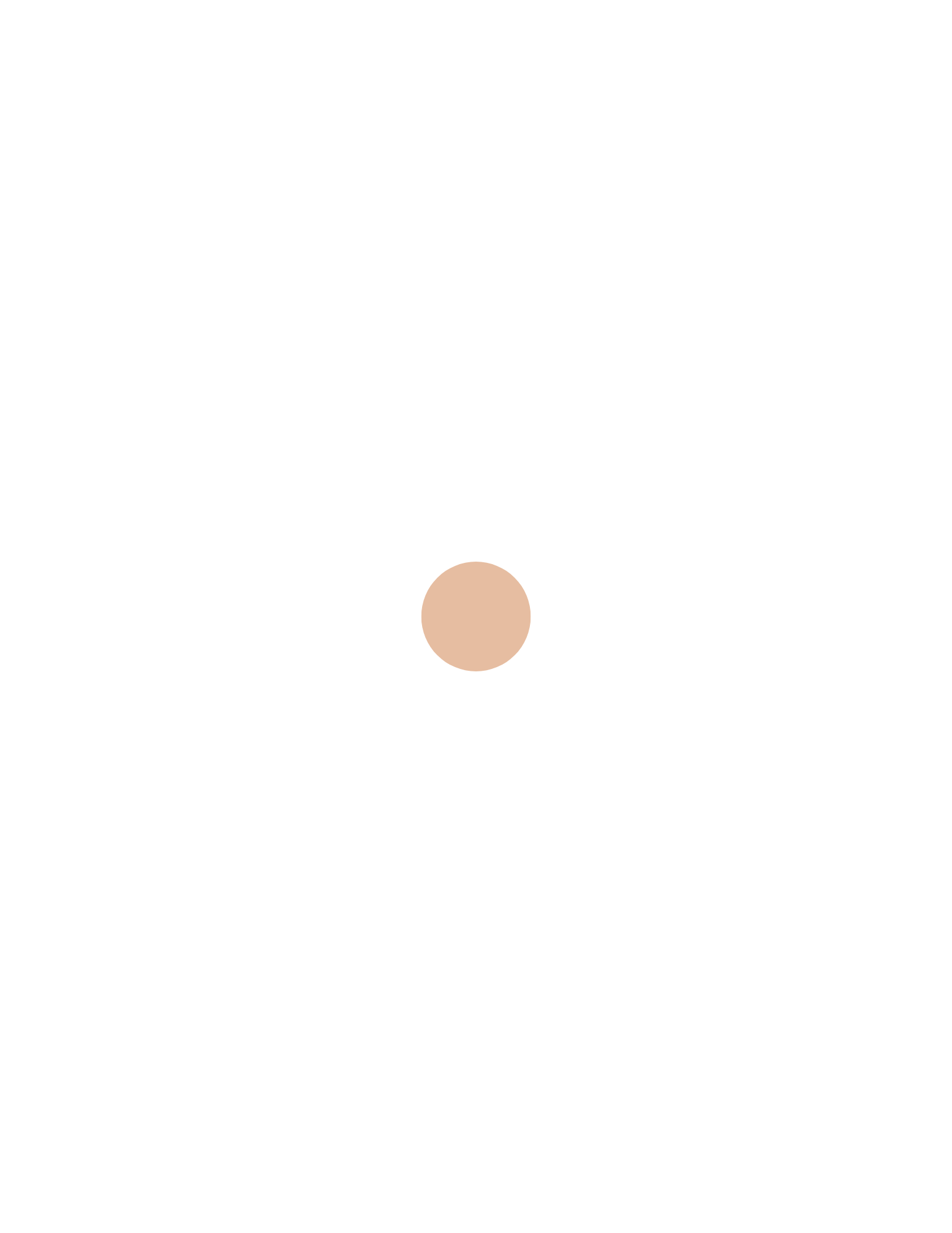 Cosmetics Visuals (35).png
