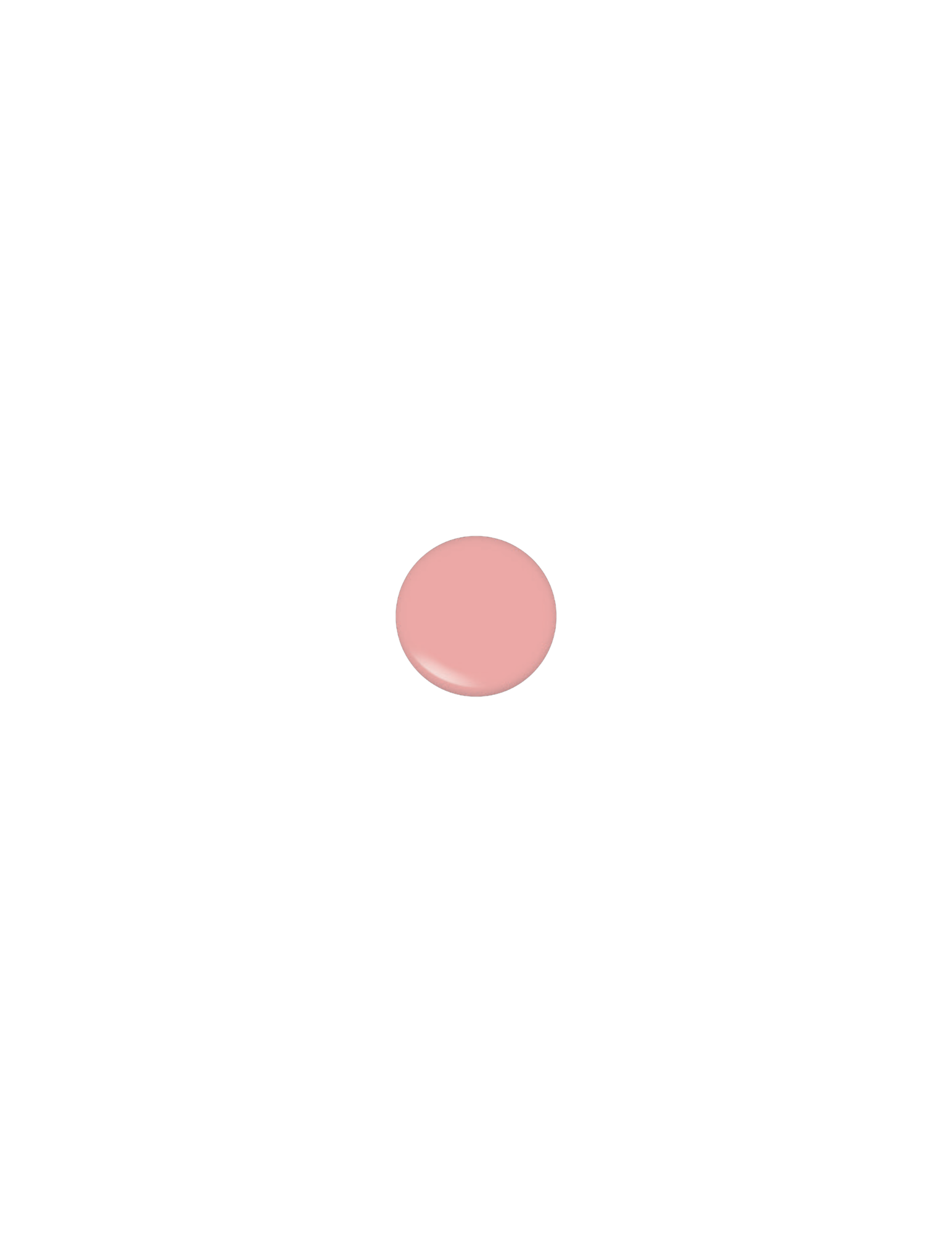 Cosmetics Visuals (41).png