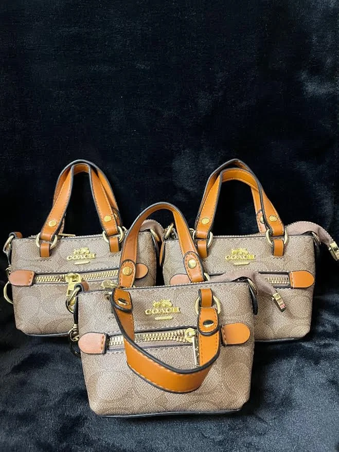 Coach Mini Tote Bag