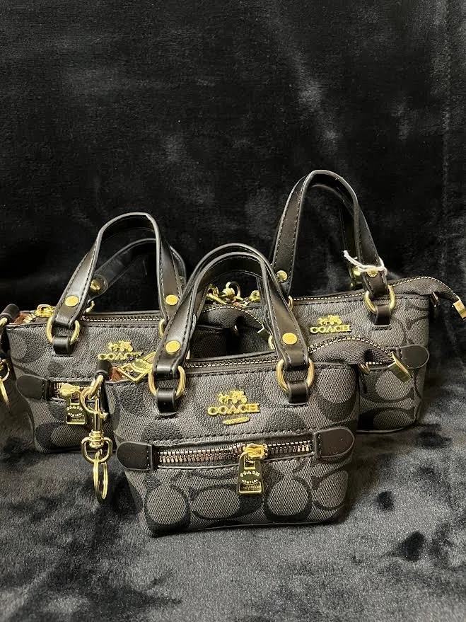 Coach Mini Tote