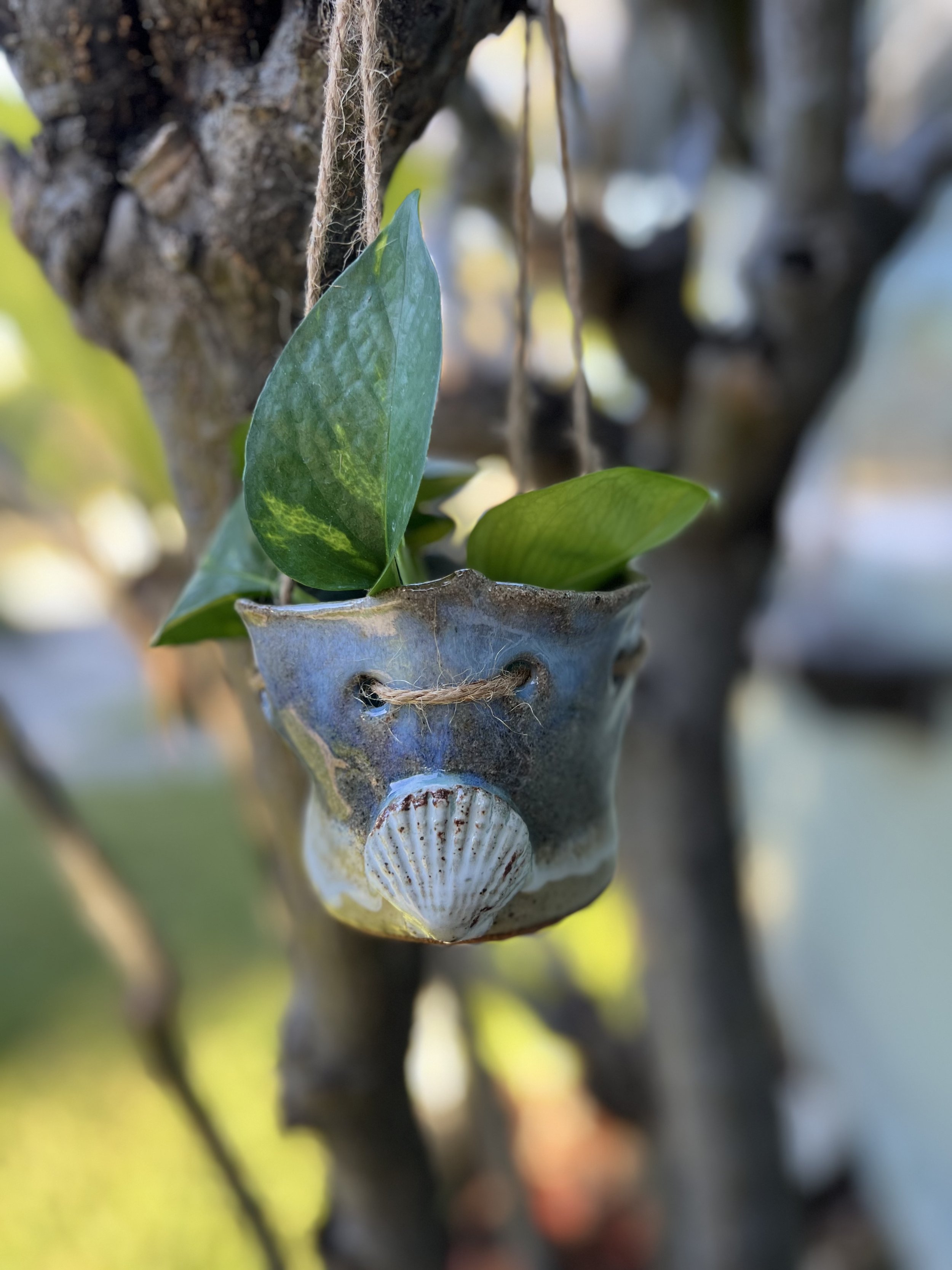 A small, ceramic hanging planter shaped like a seashell with green ivy leaves, suspended by a string from a tree branch.