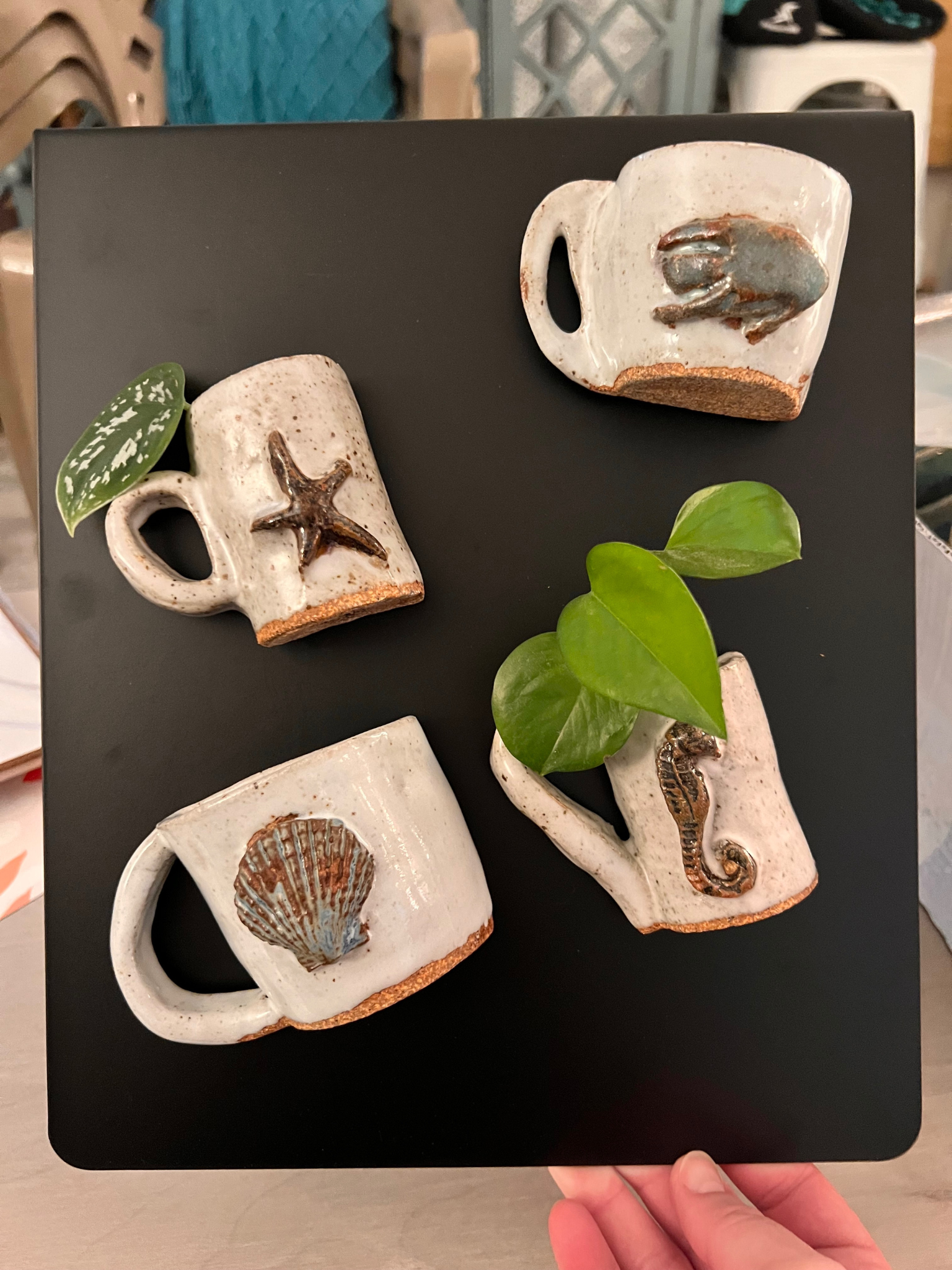 Four ceramic mugs with seashell and sea creature designs, arranged on a black square magnet board.