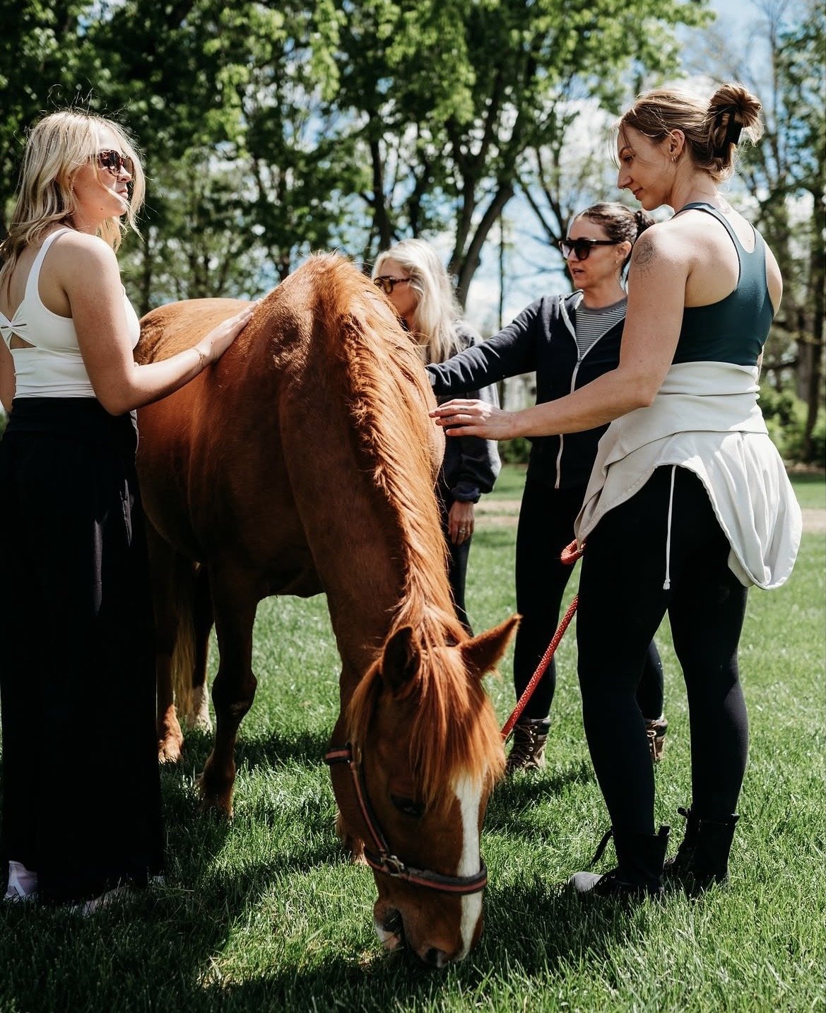 Join us for a beautiful morning outside in the grass, warm sun upon our skin, birdsong, and our horses neighing nearby, as we reconnect to the sacred earth,  in sisterhood, and with our herd. We will slow down from our busy  lives, move intentionally
