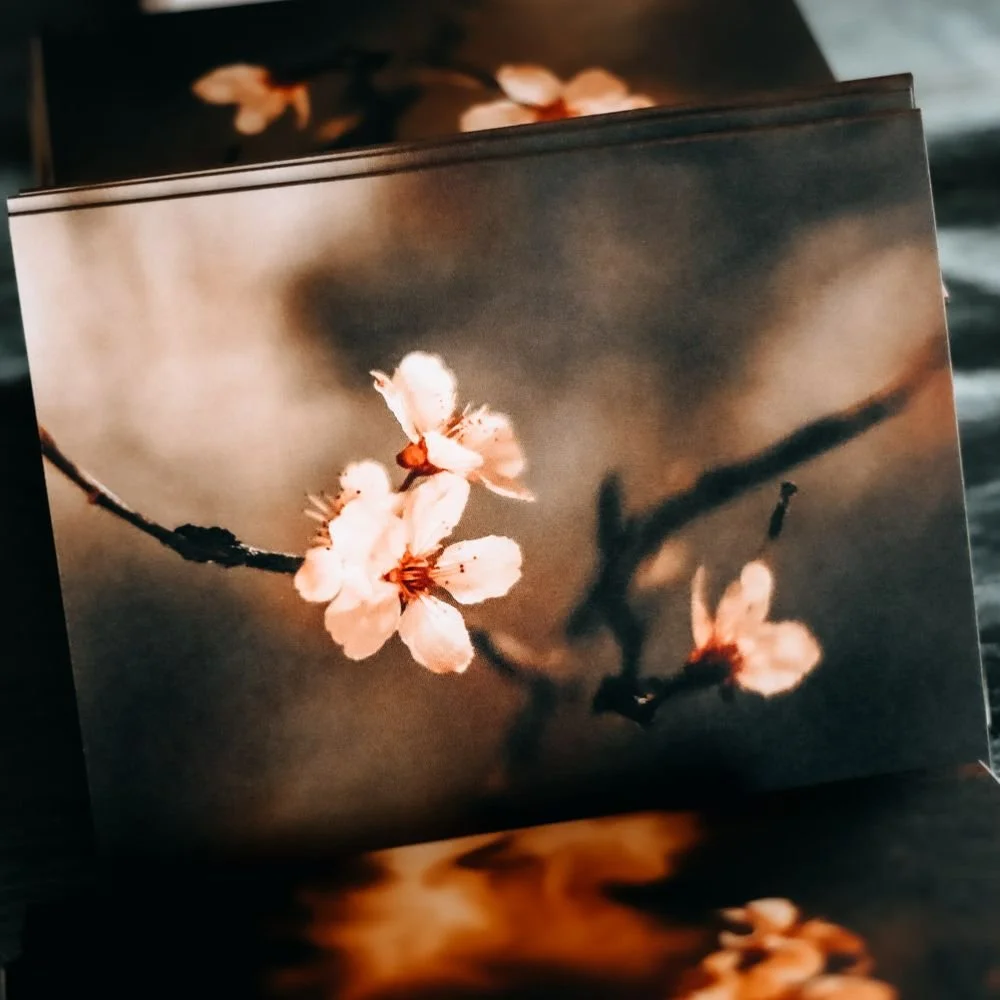 Fragility — Spring Blossom Fine Art Greeting Card.jpg