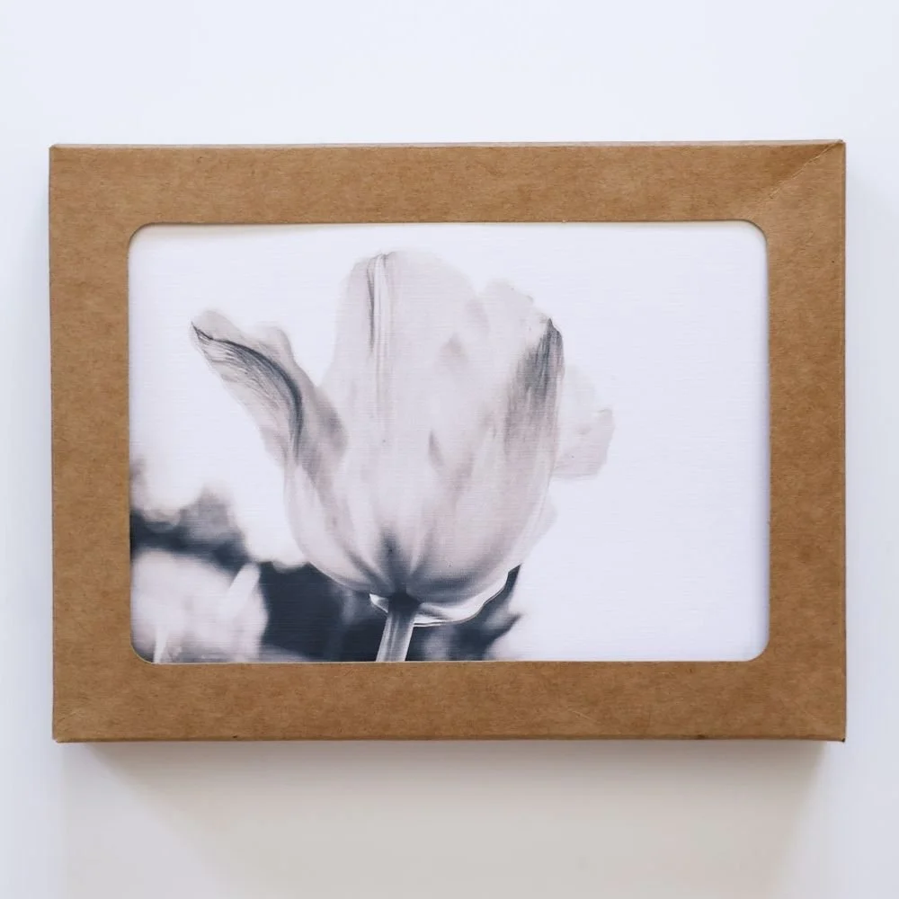 Tulip Mirror Reflection — Fine Art Greeting Card.jpg