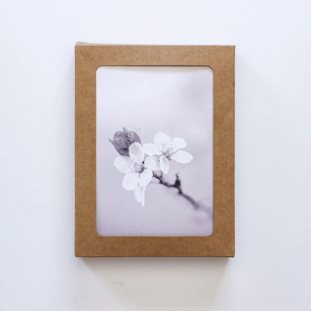 Tenderness — Black and White Flower Fine Art Greeting Card.jpg