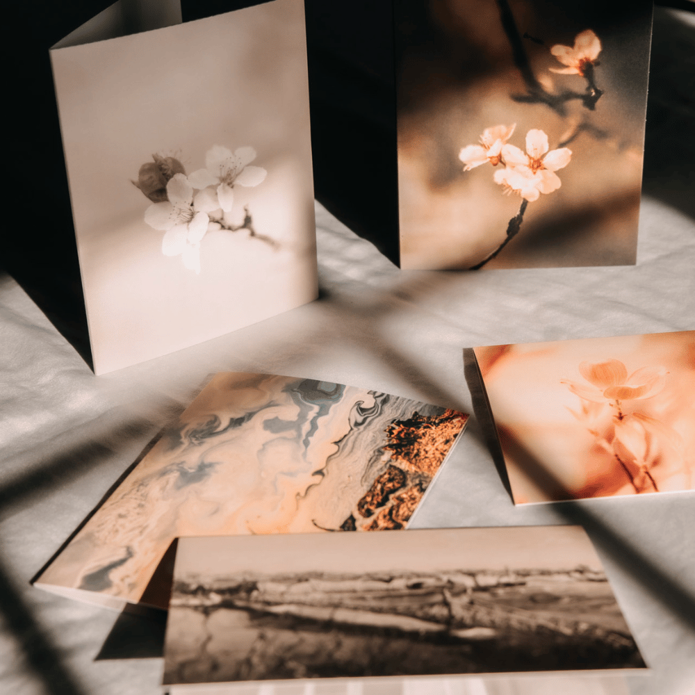 Photographs of various natural scenes and flowers, some black and white, others in warm or muted tones, arranged on a surface with shadows cast across them.