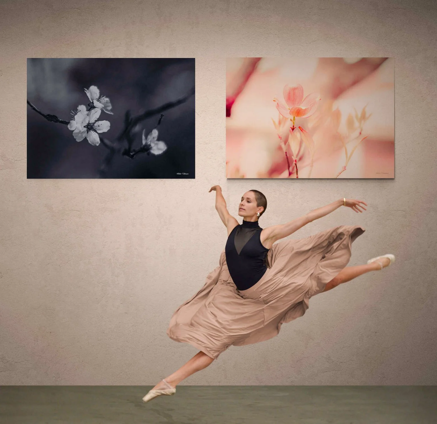 ballet-dancer-in-studio.jpg