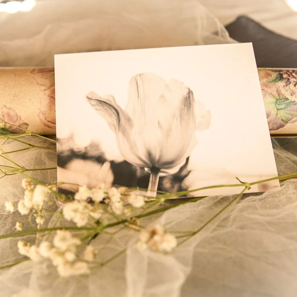 A black and white photograph of a tulip flower surrounded by delicate white flowers and sheer fabric.