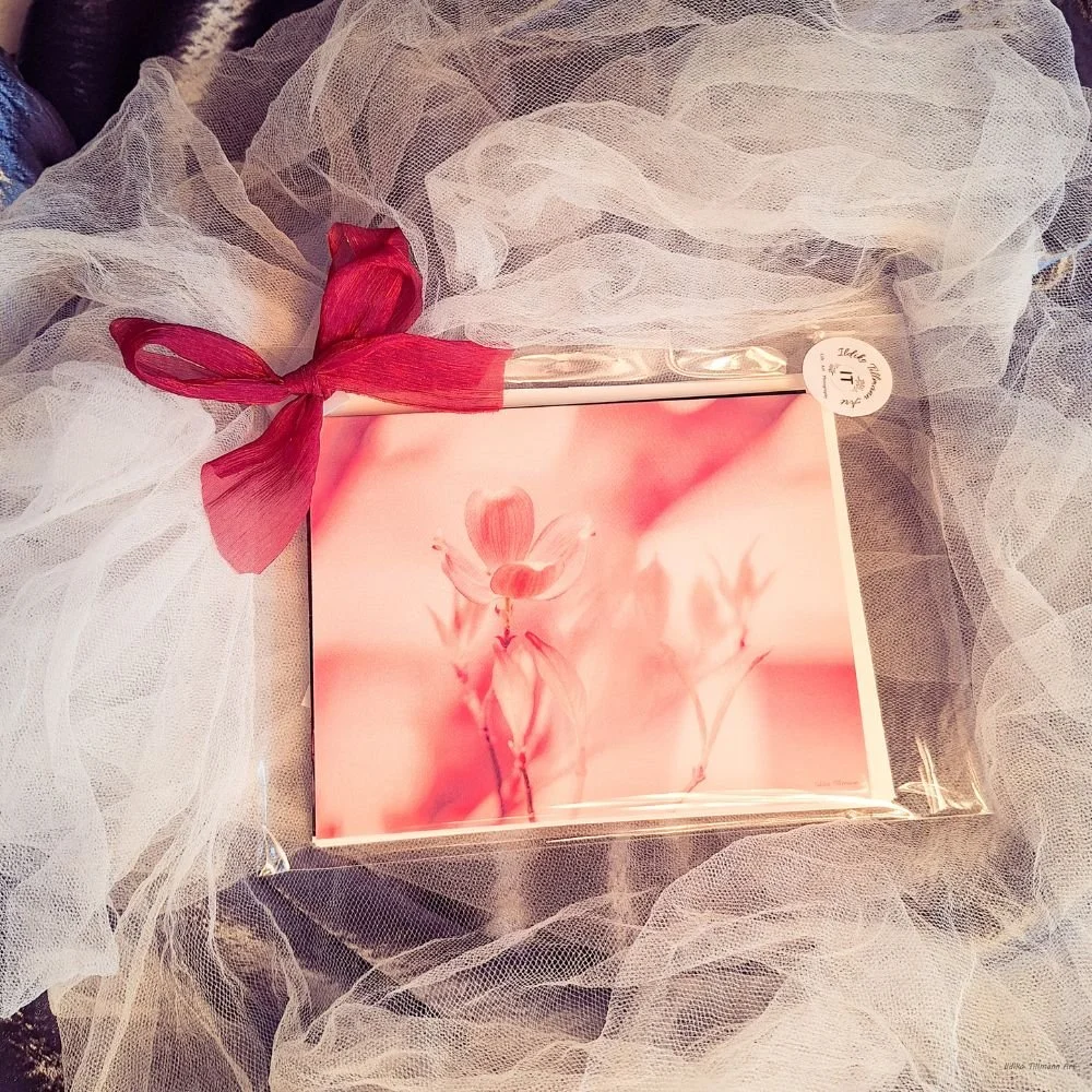 Pink Sunset — Spring Flower Fine Art Greeting Card.jpg