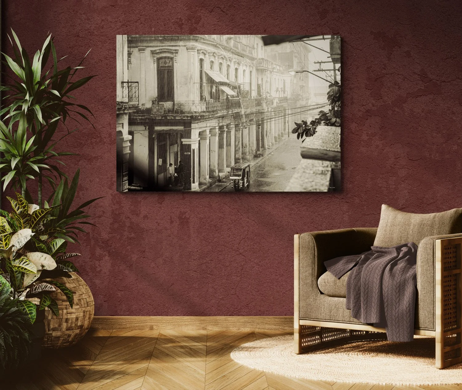 sunlit-room-with-an-armchair-and-tropical-plants (18).jpg