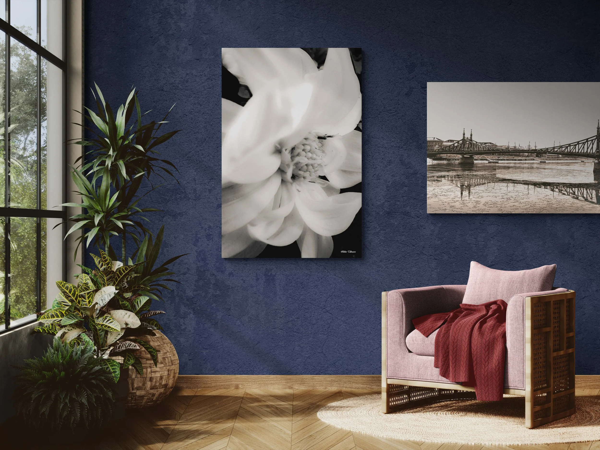 sunlit-room-with-an-armchair-and-tropical-plants (7).jpg