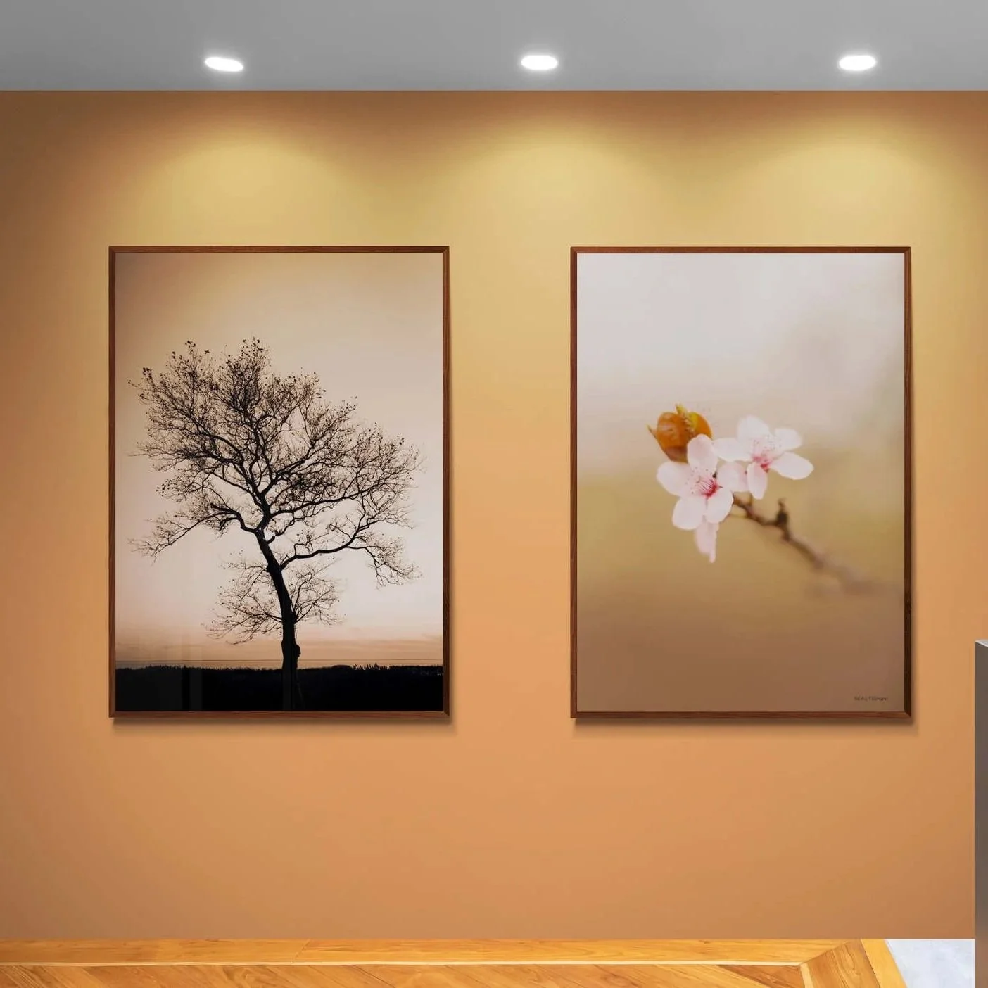 kitchen-area-with-a-feature-wall+%285%29.jpg