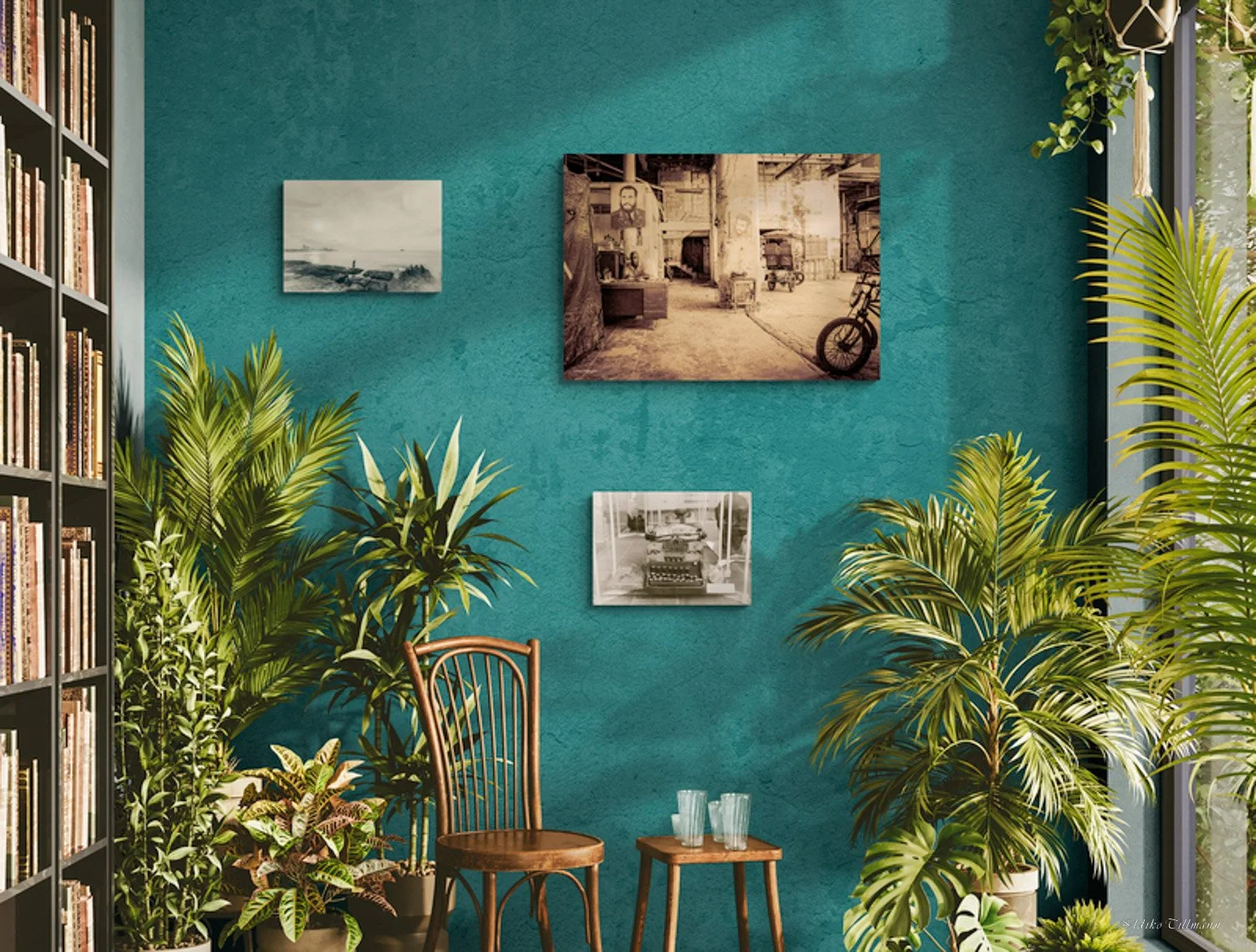 warm-room-filled-with-tropical-plants (7).jpg