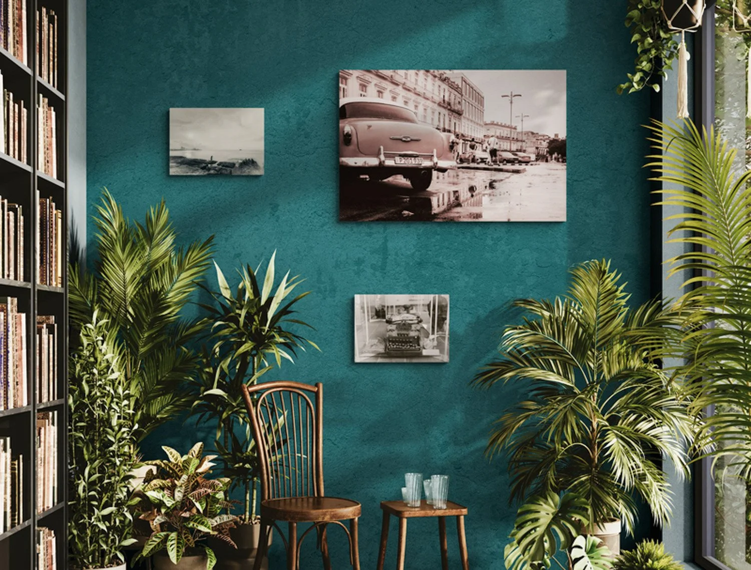 warm-room-filled-with-tropical-plants (5).jpg