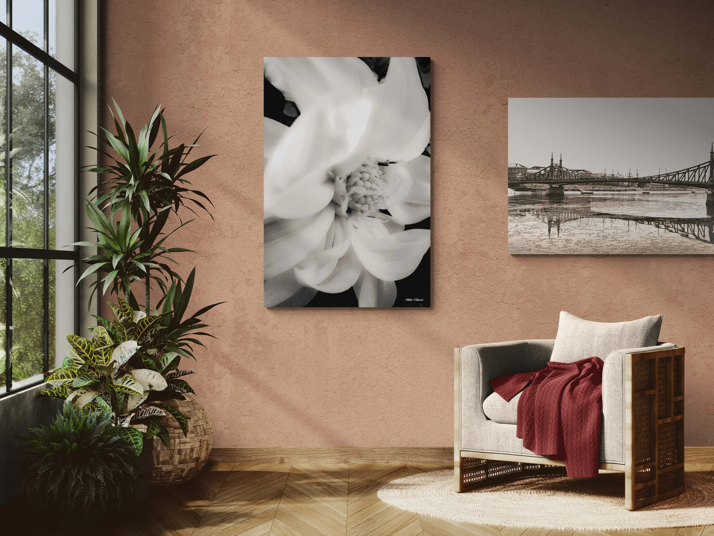 sunlit-room-with-an-armchair-and-tropical-plants (6).jpg