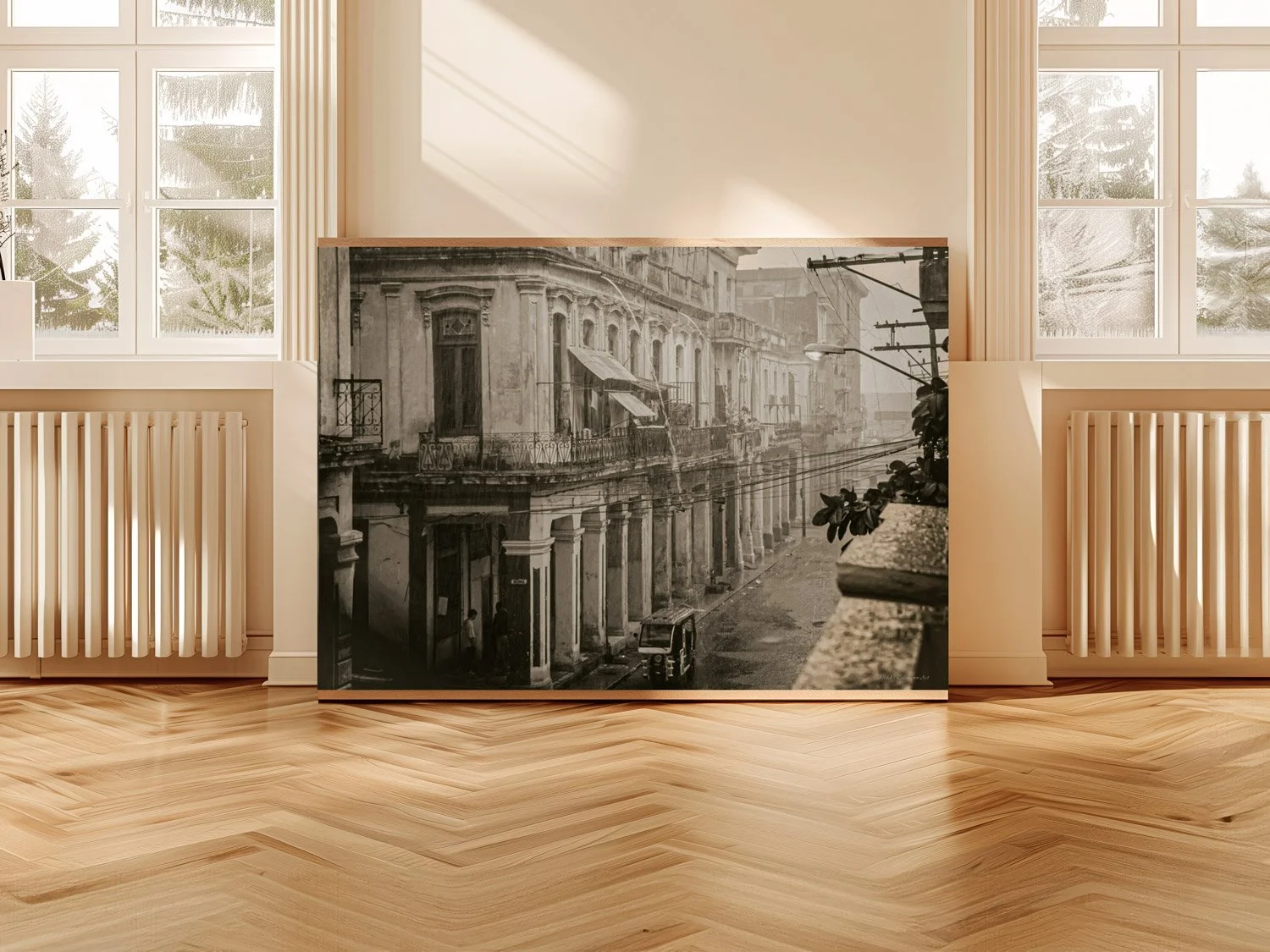 horizontal frame living room.jpg