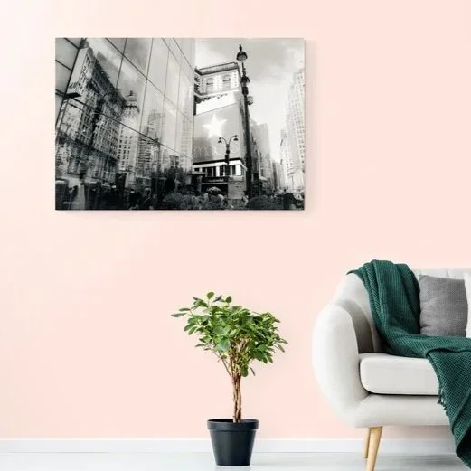 sofa-and-plant.jpg